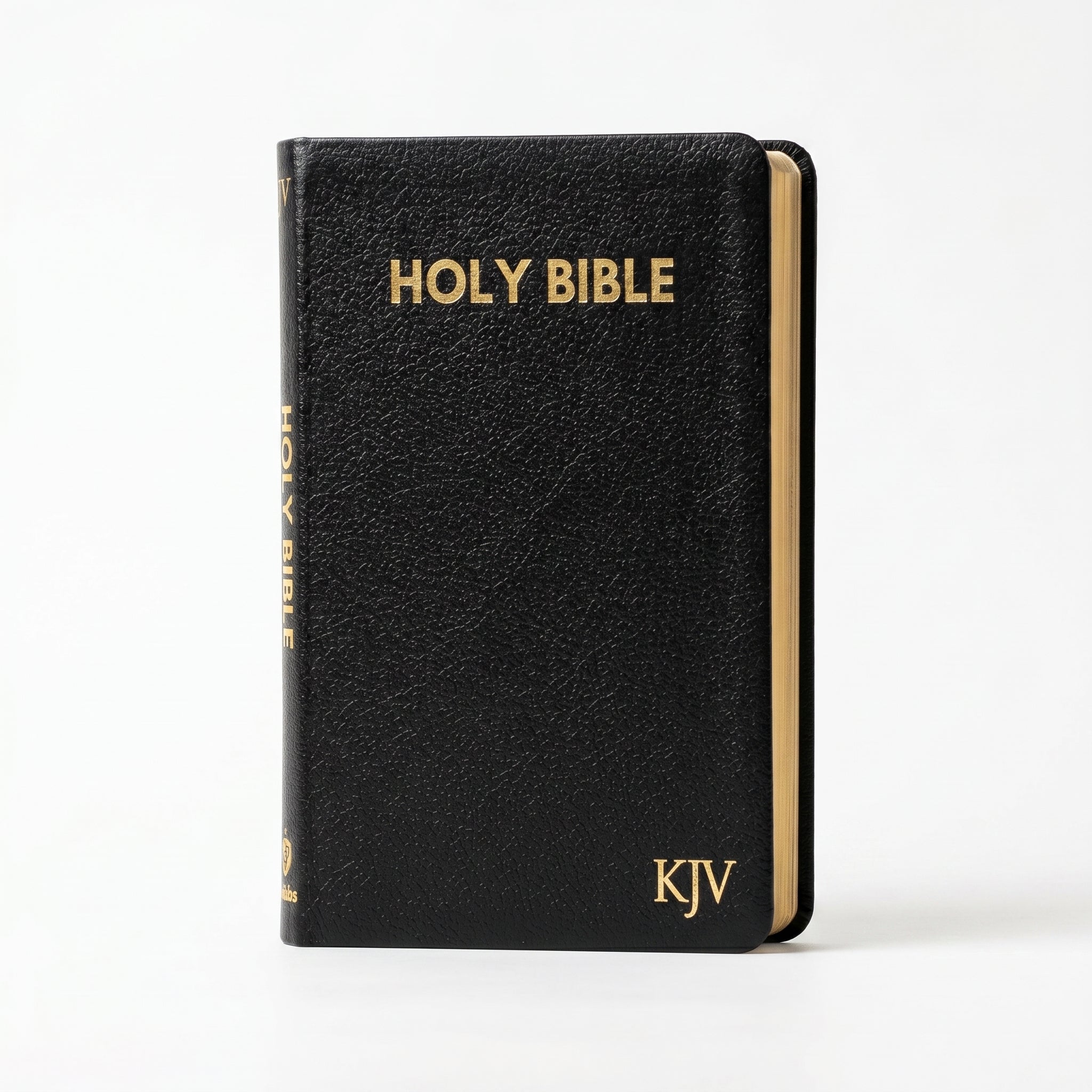 KJV Holy Bible - Medium Format with Thum + KJV Large Print Thinline Bible - Black L Combo