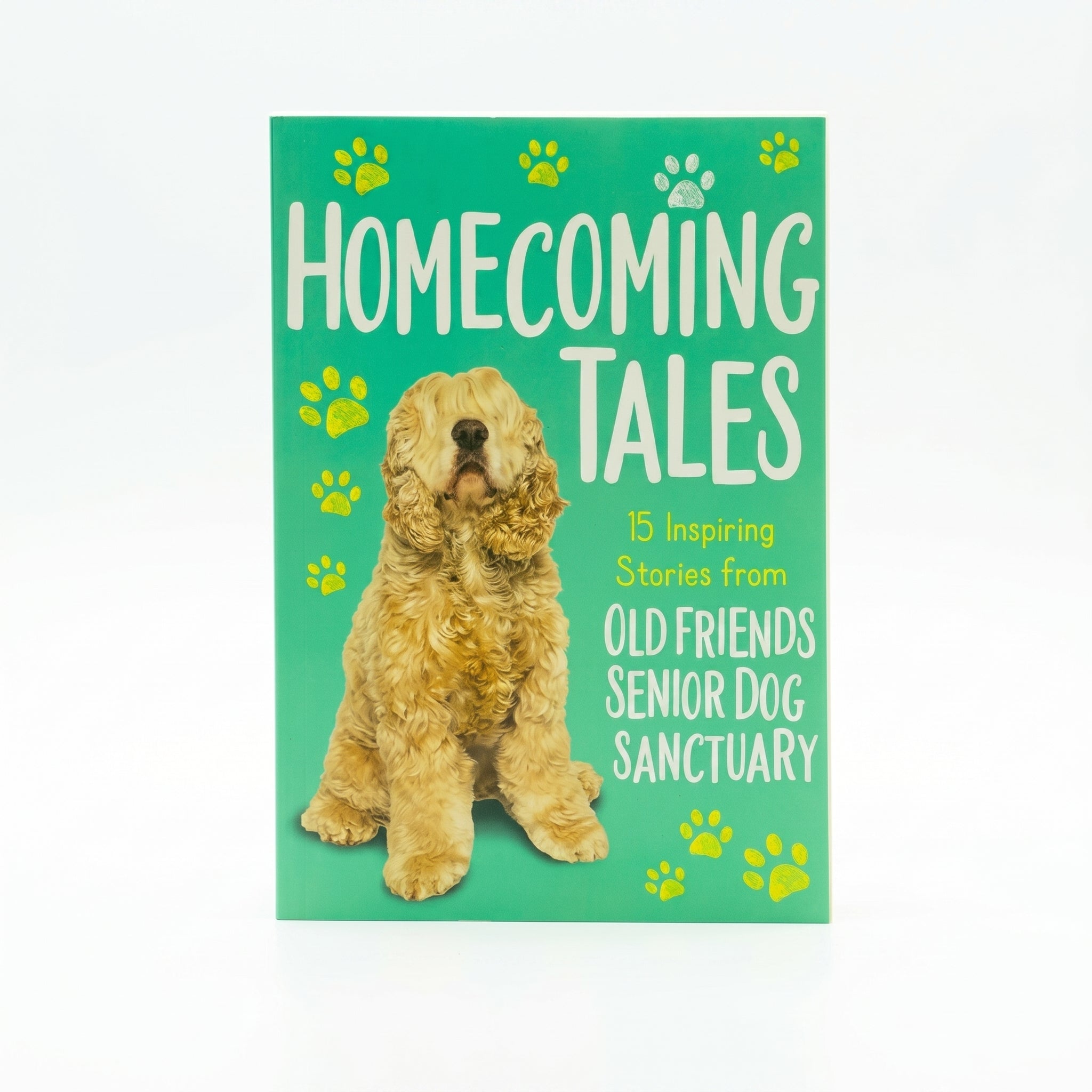 Studio photo of Homecoming Tales: 15 Inspiring Stories from Old Friends Senior dog Sanctuary in hero