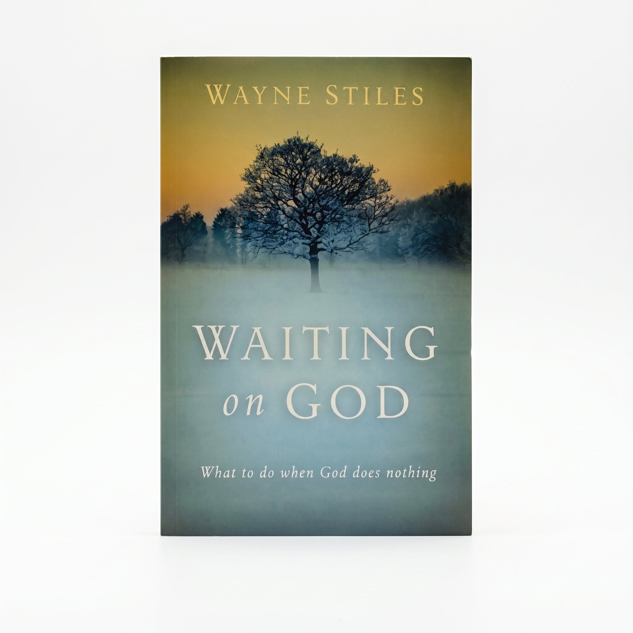 Studio photo of Waiting on God: What to Do When God Does Nothing in hero