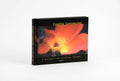Studio photo of Creative Compassion in hero