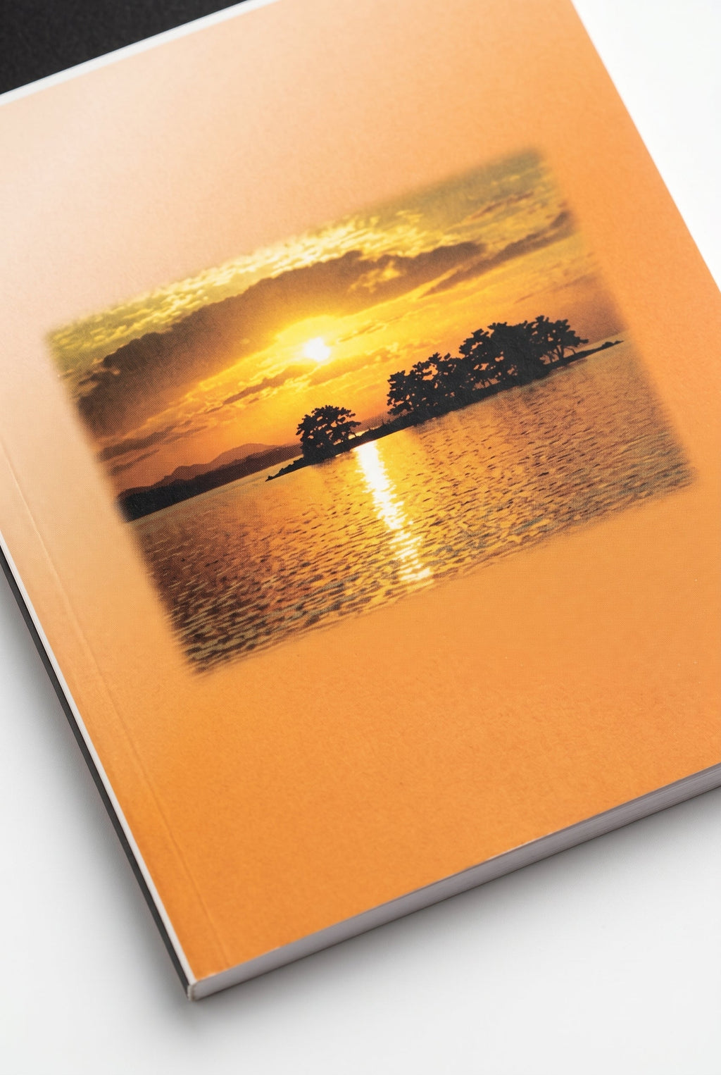 Studio photo of Let God Guide You Daily (Marathi) in detail