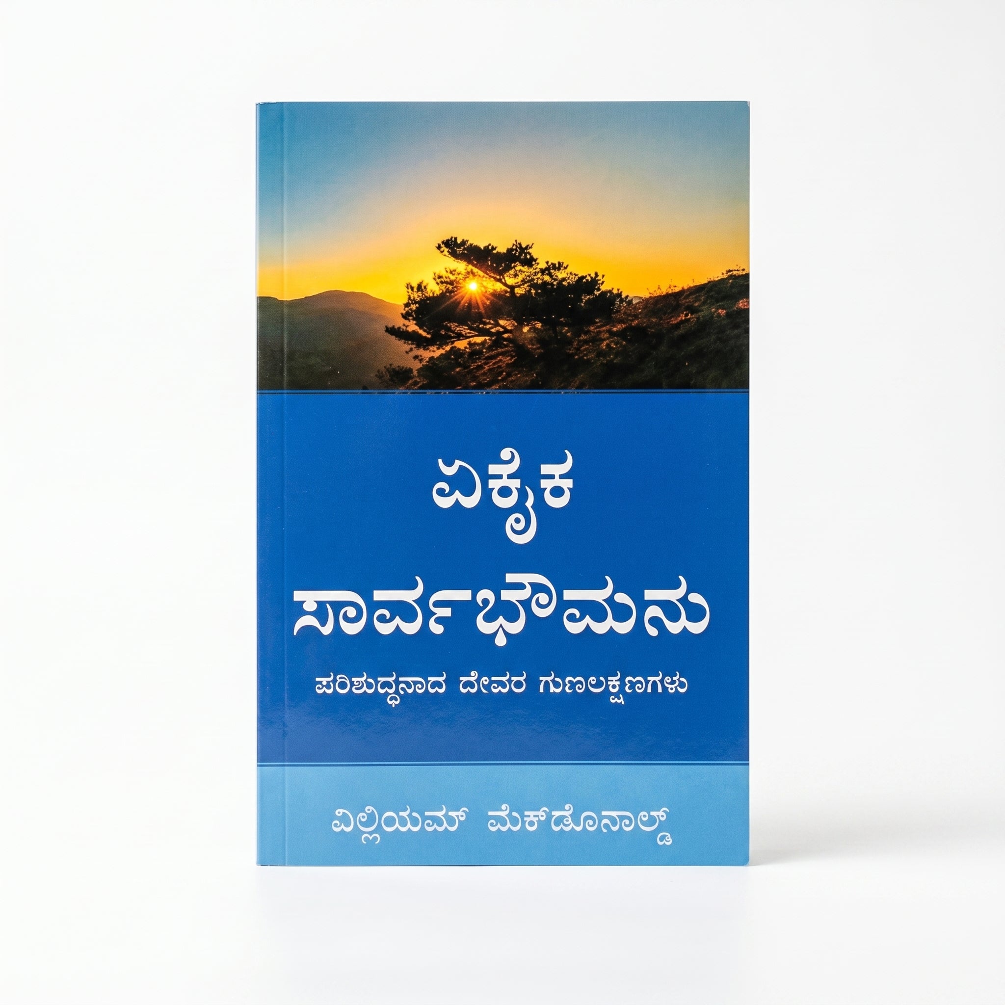 Studio photo of Alone in Majesty (Kannada) in hero