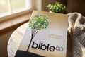 Studio photo of Bible 60: God's Story in 60 Snapshots in detail