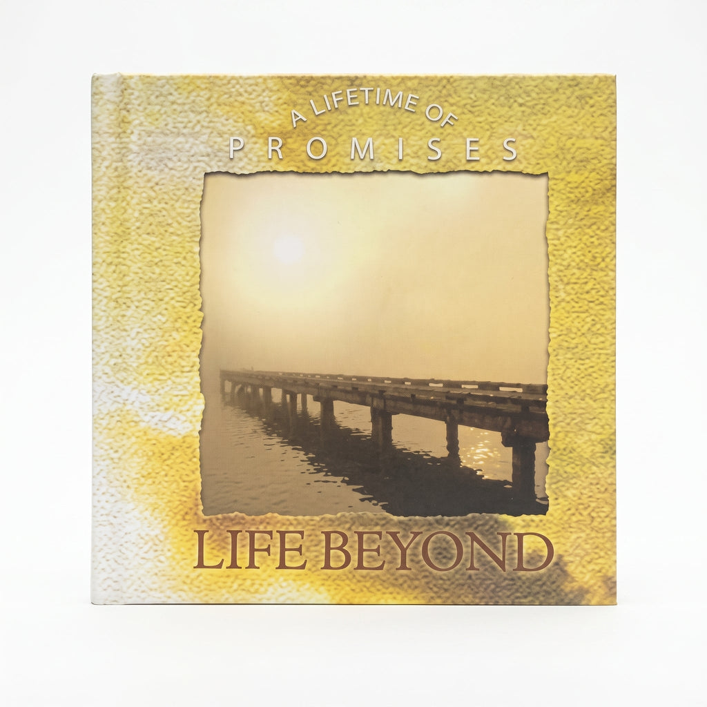 Studio photo of Life Beyond (Lifetime of Promises) in hero