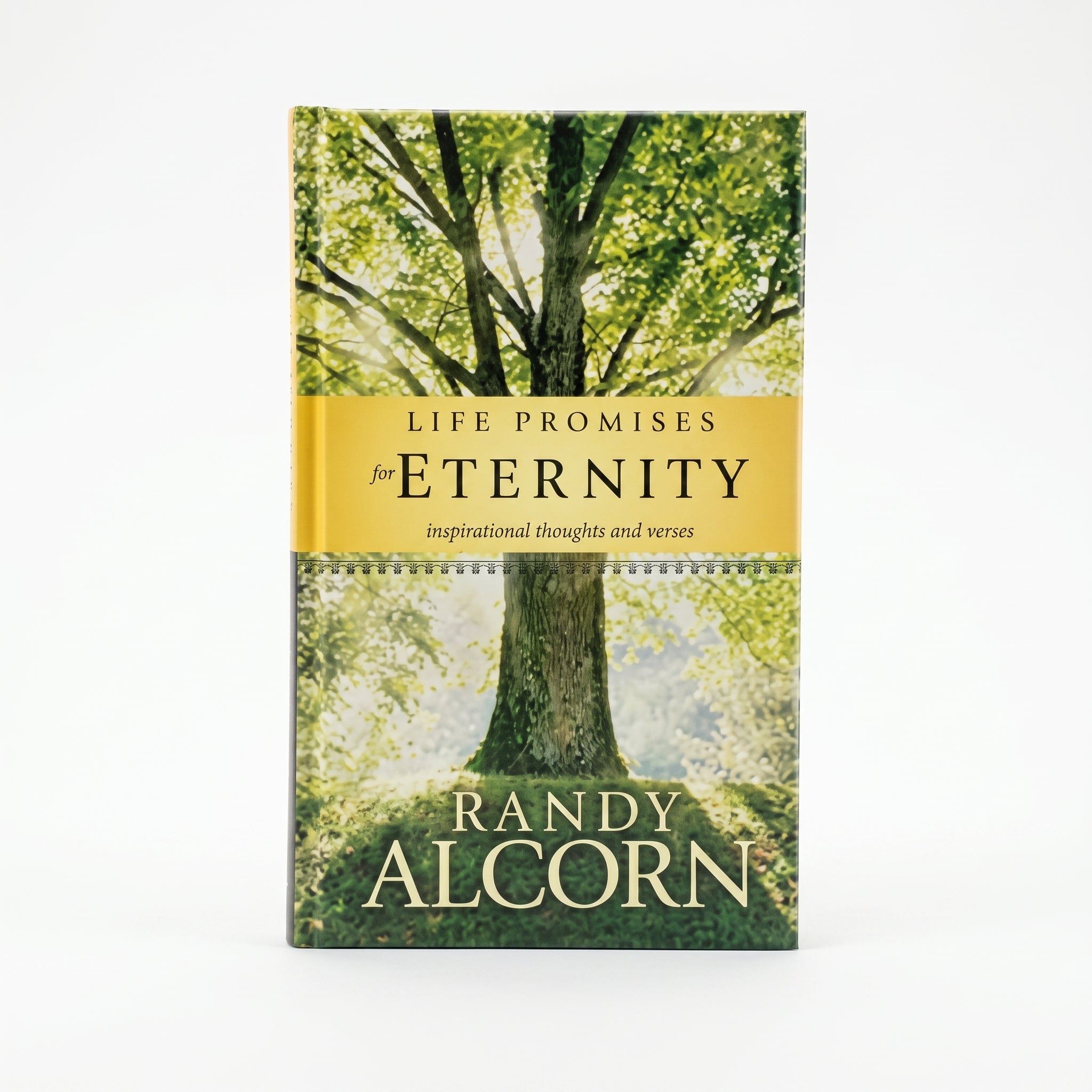 Studio photo of Life Promises for Eternity in hero