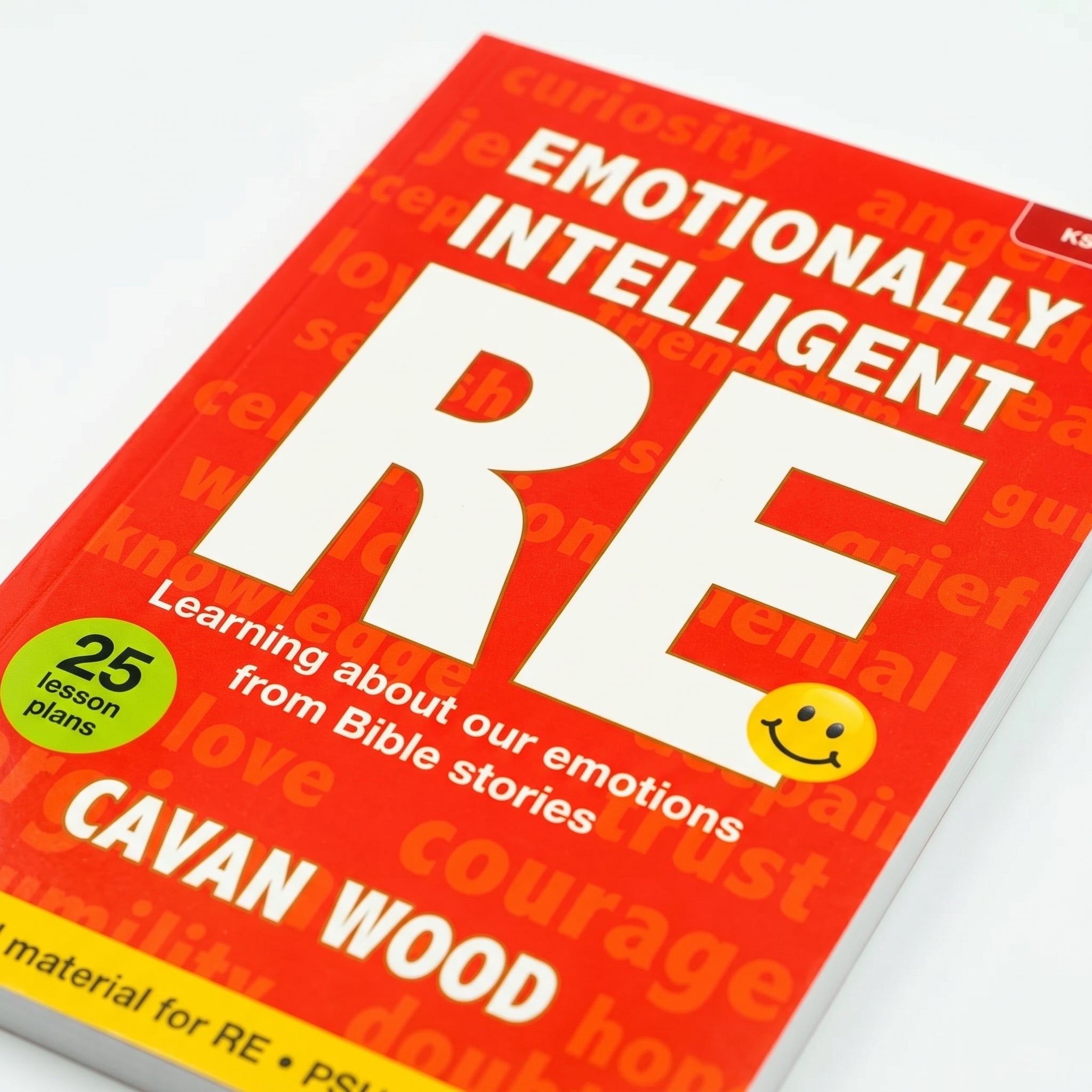 Studio photo of Emotionally Intelligent RE: Learning about our Emotions from Bible Stories in detail