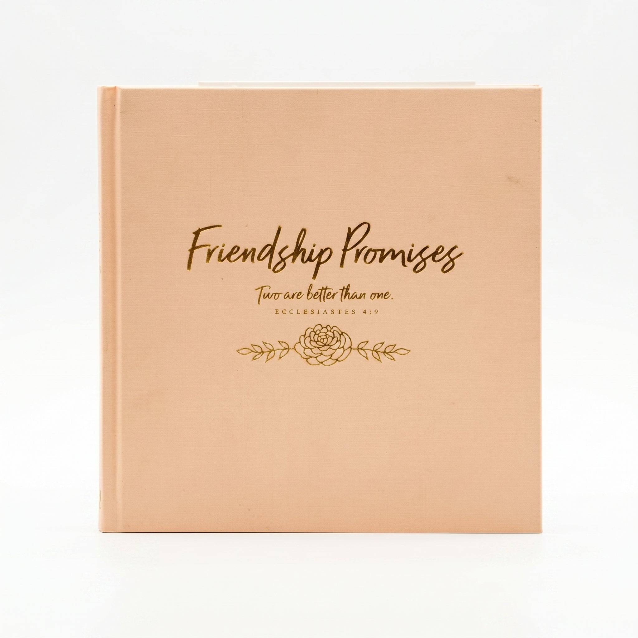 Studio photo of Friendship Promises in hero