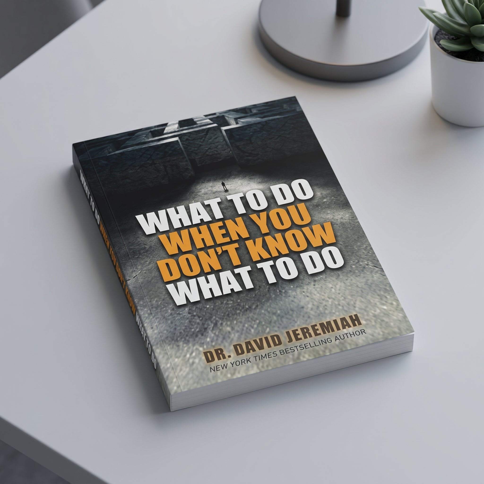 Studio photo of What to do When You Don't Know What to do in detail
