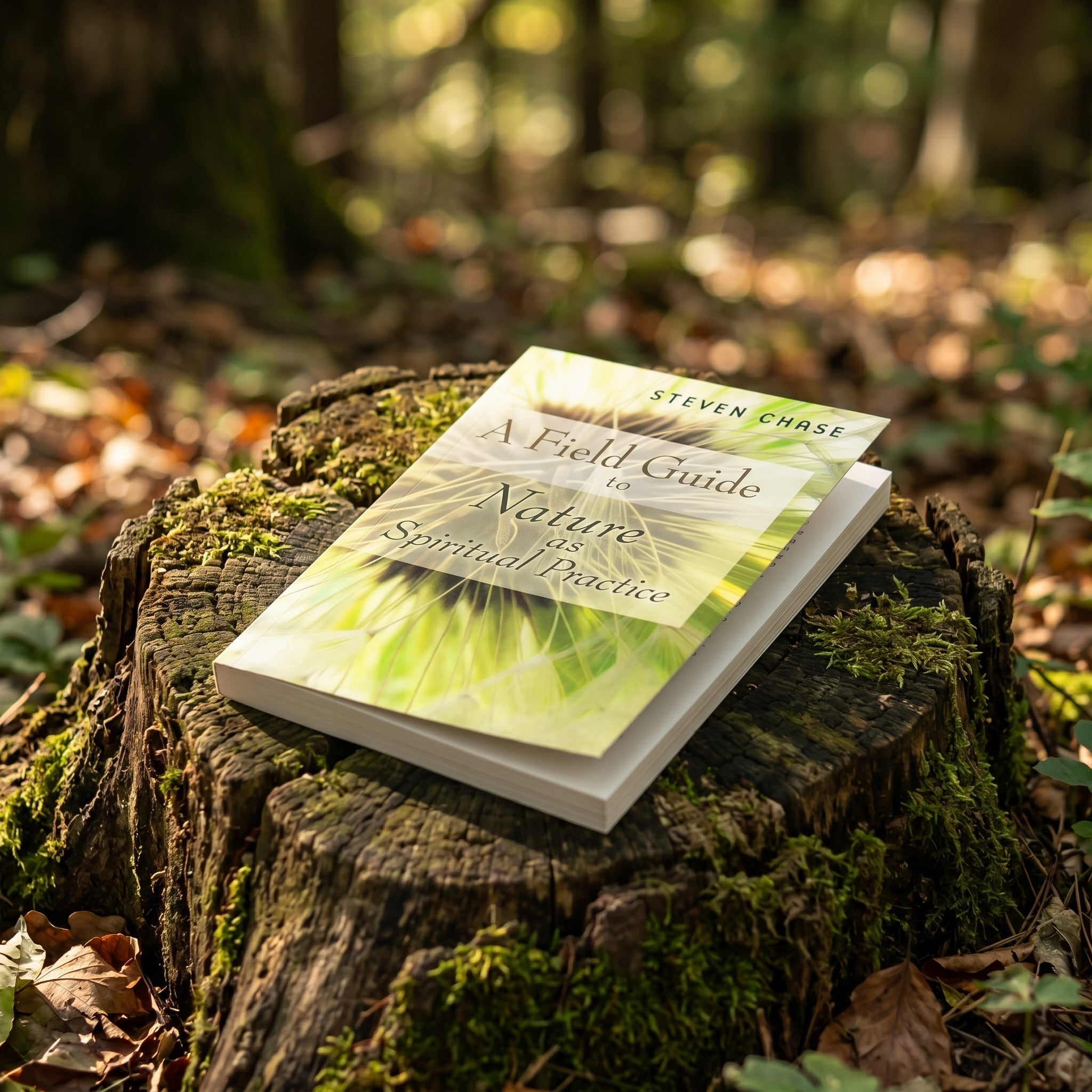 Studio photo of A Field Guide to Nature as Spiritual Practice in lifestyle