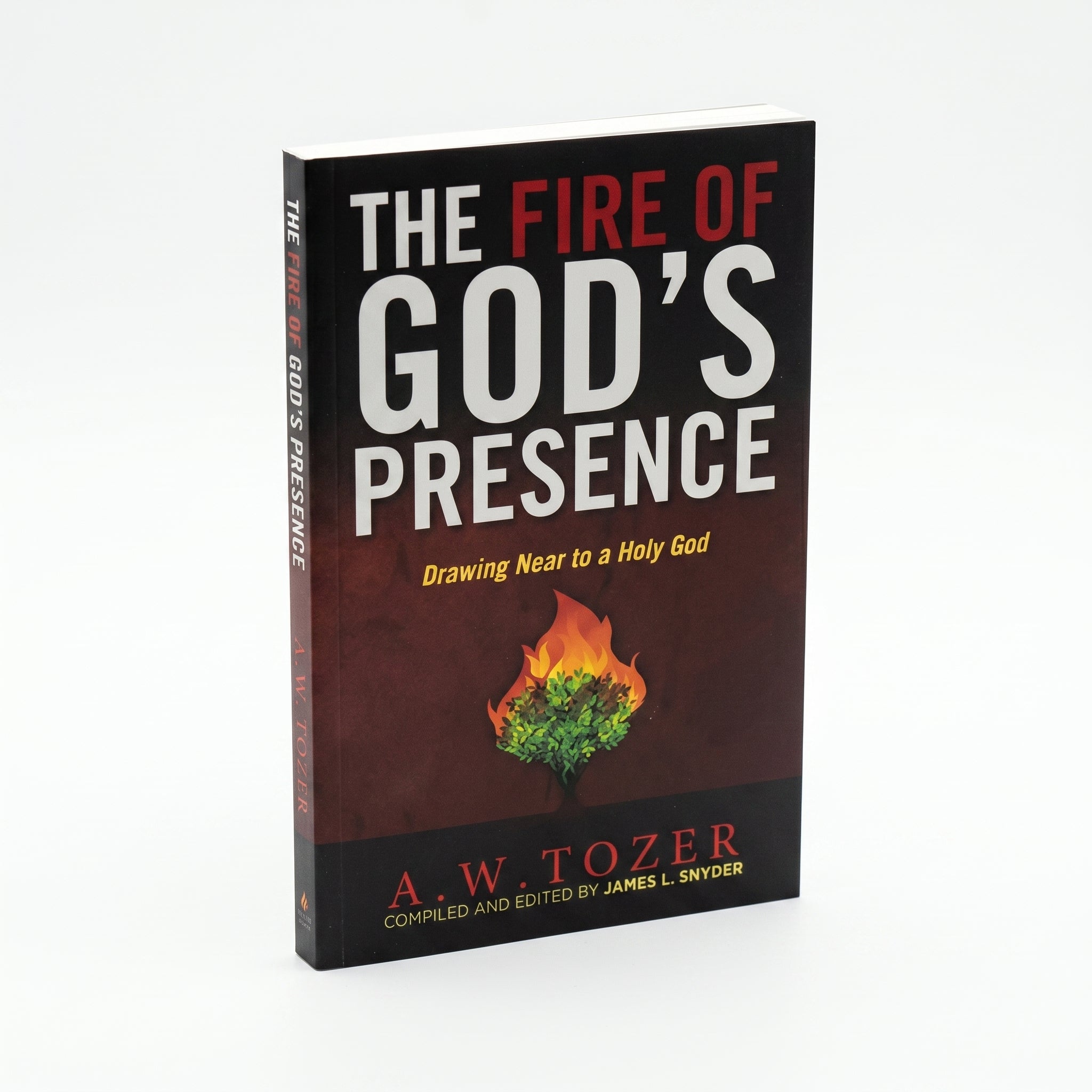 Studio photo of The Fire of God's Presence: Drawing Near to a Holy God in hero