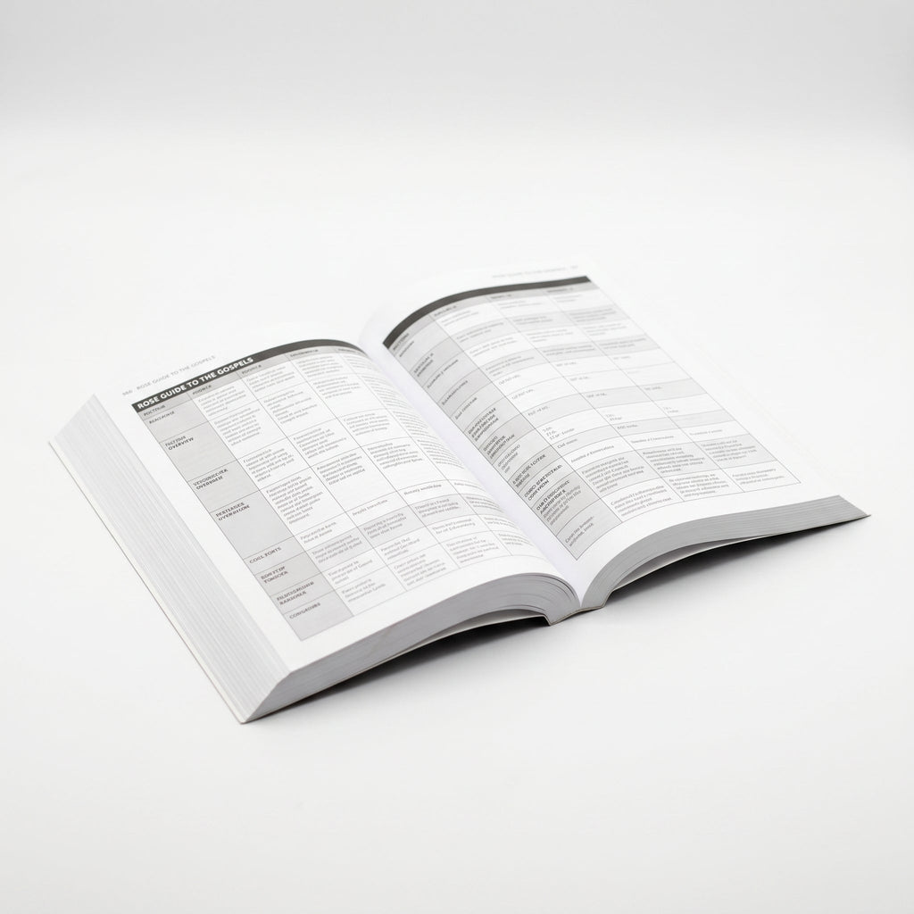 Studio photo of Rose Guide to the Gospels: Side-by-Side Charts and Overviews in detail