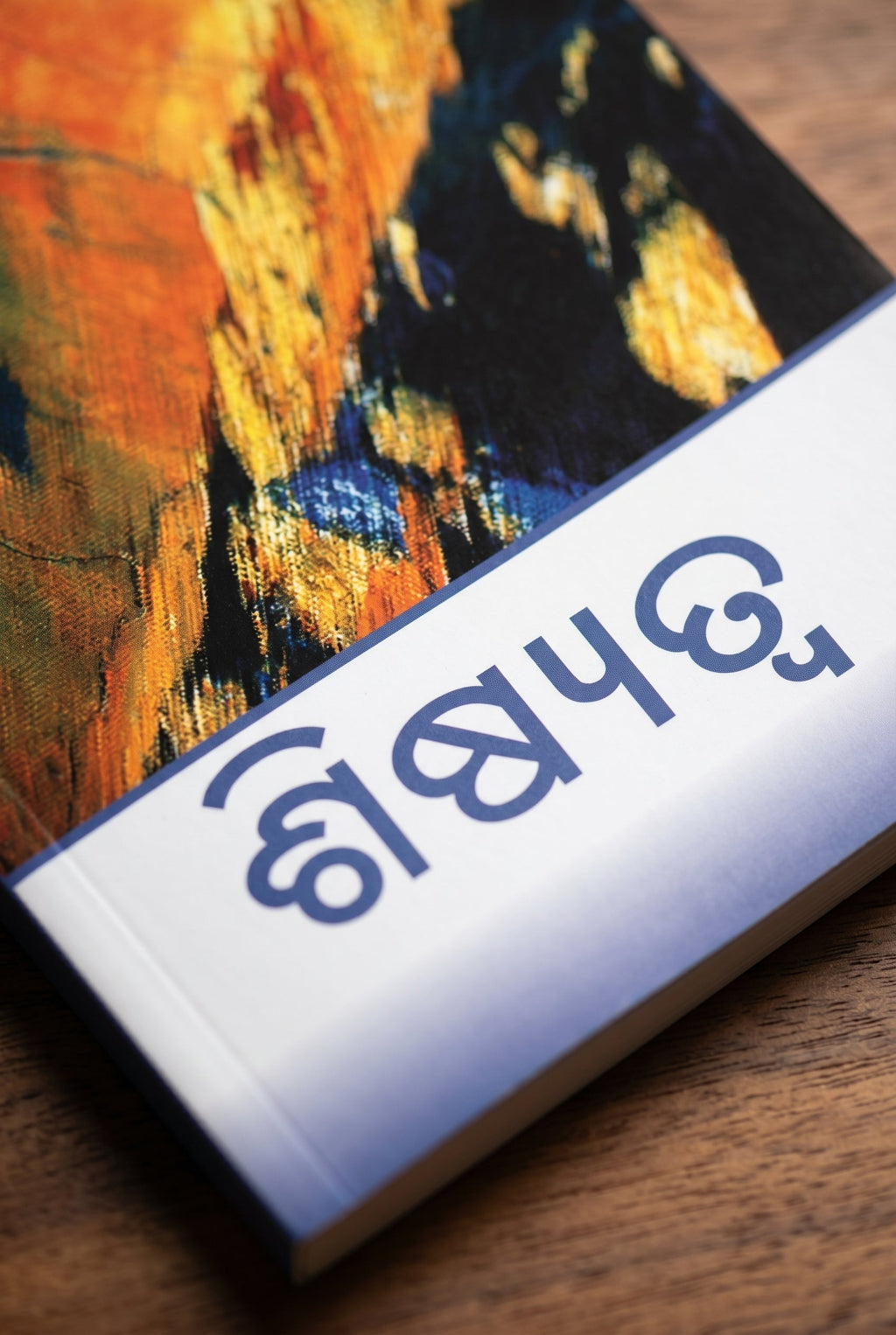 Studio photo of Discipleship (Odia) in detail