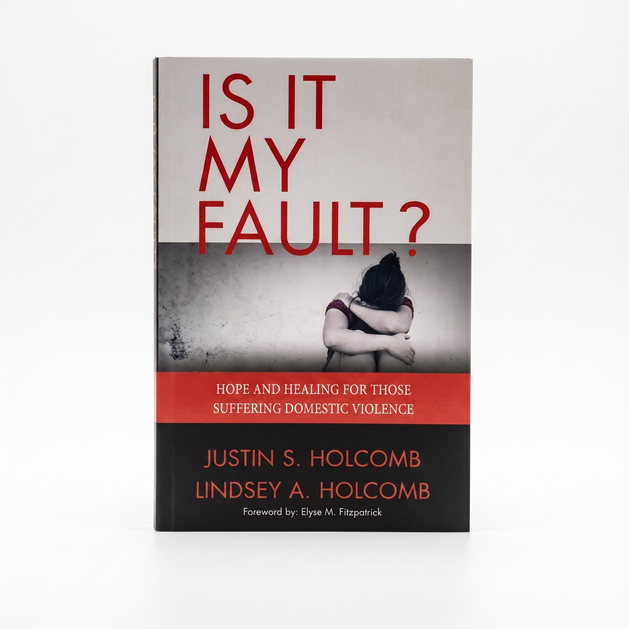 Studio photo of Is it my Fault ?: Hope and Healing for those suffering Domestic Violence in hero