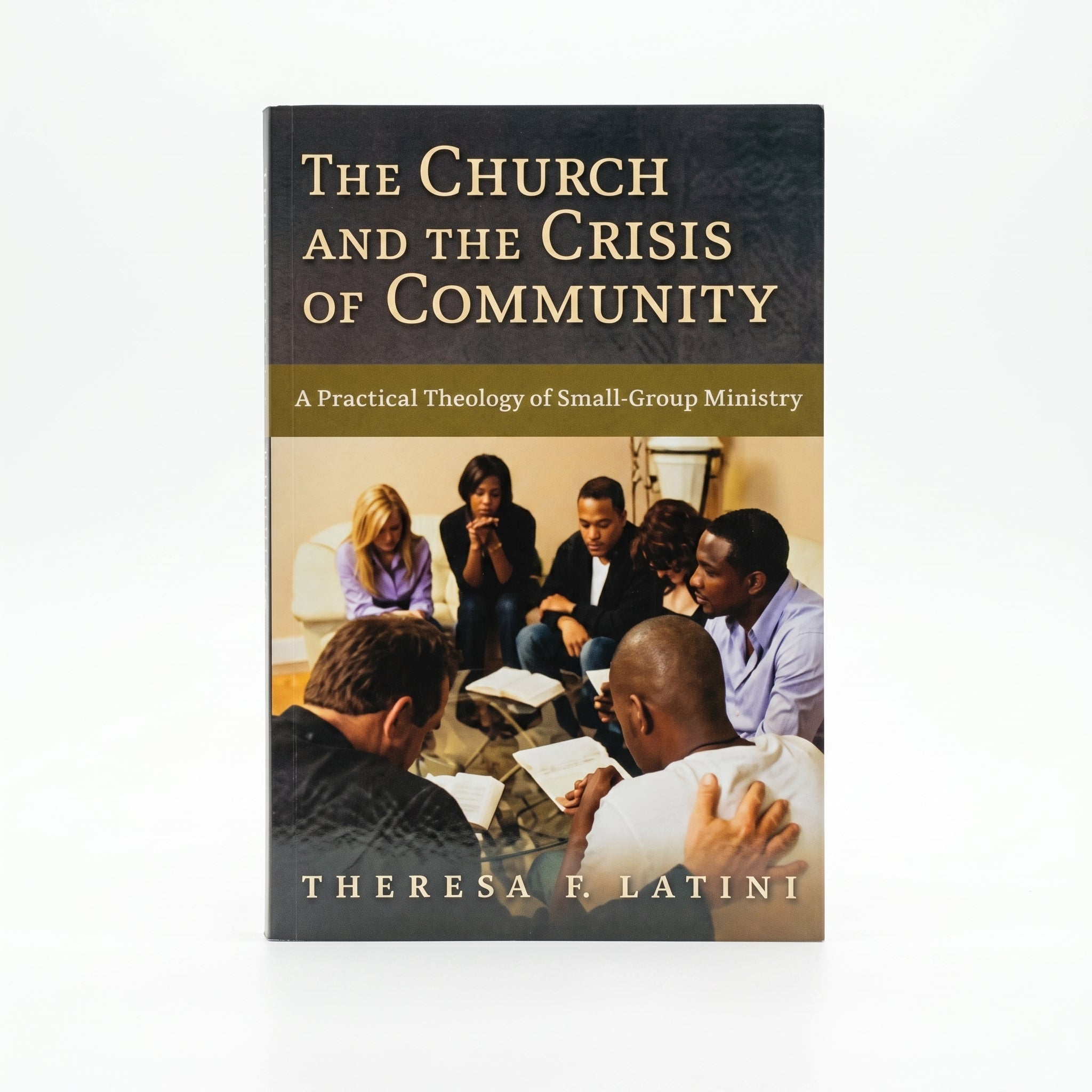 Studio photo of The Church and the Crisis of Community: A Practical Theology of Small-Group Ministry in hero