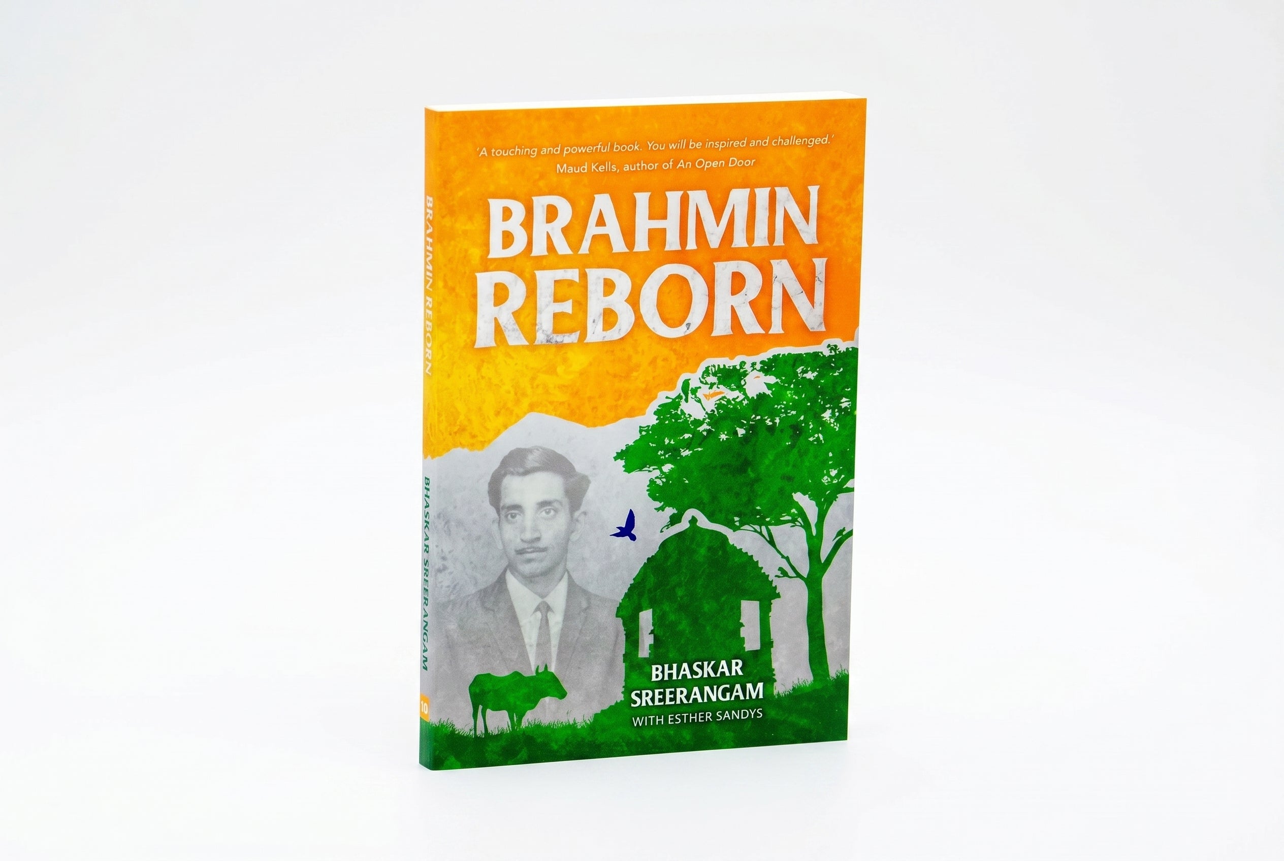 Studio photo of Brahmin reborn in hero