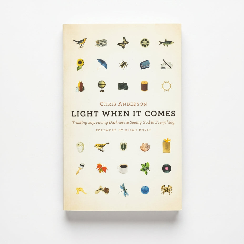 Studio photo of Light When It Comes: Trusting Joy, Facing Darkness, and Seeing God in Everything in hero