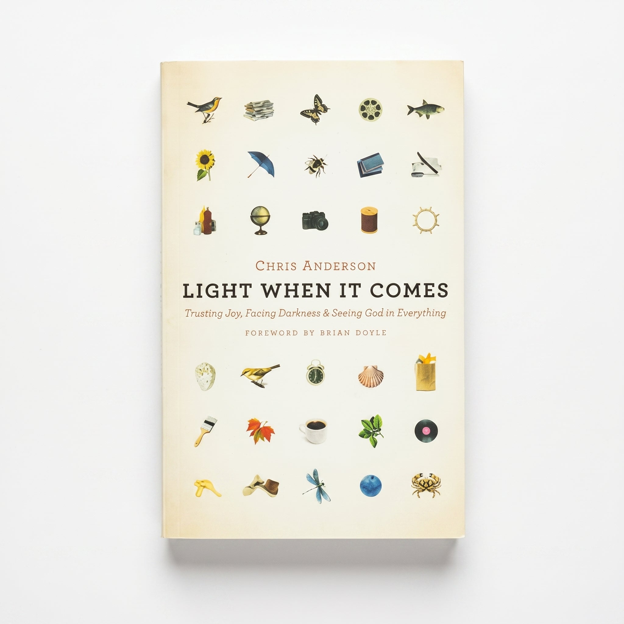 Studio photo of Light When It Comes: Trusting Joy, Facing Darkness, and Seeing God in Everything in hero