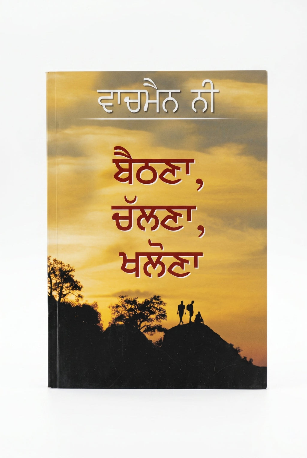 Studio photo of Sit, Walk, Stand (Punjabi) in hero
