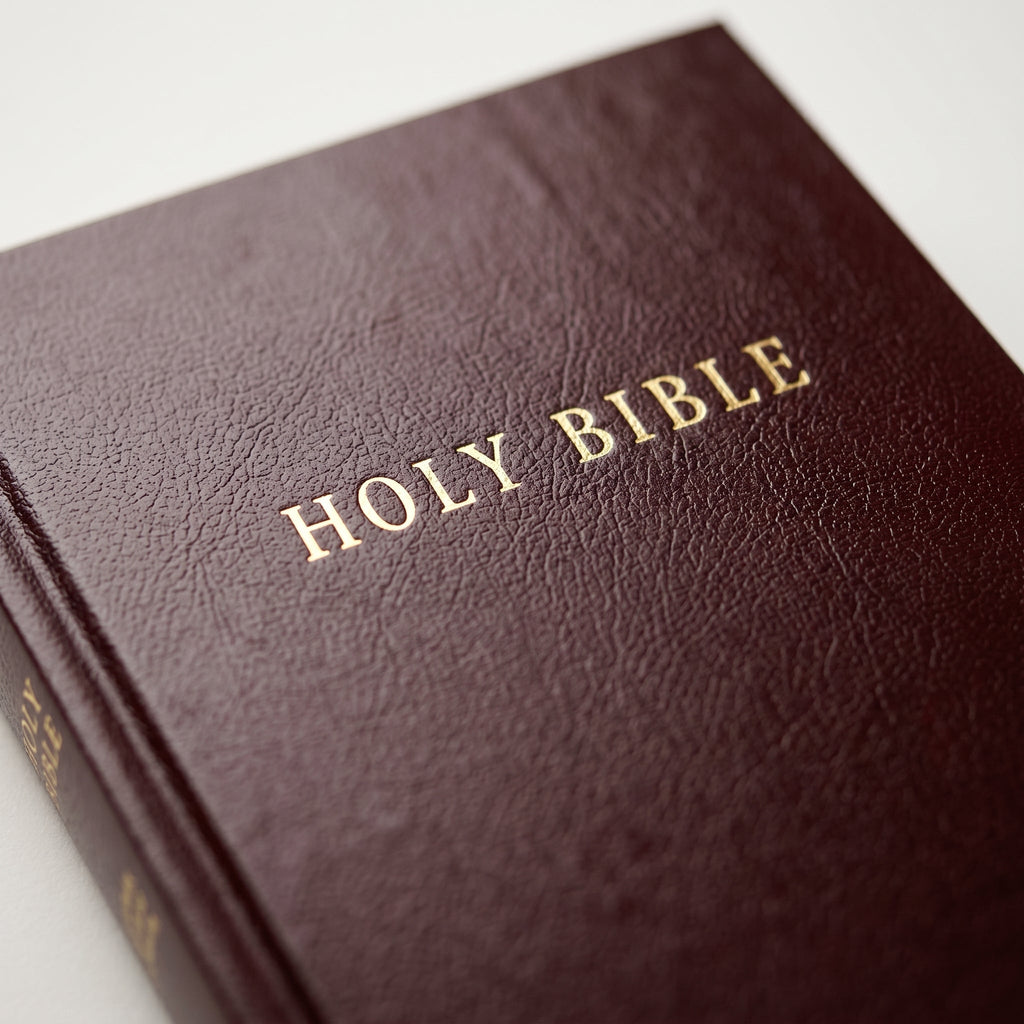 NLT Pew Bible | Christian Bible Service + KJV Premium Value Thinline Bible, Filame Combo
