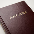 NLT Pew Bible | Christian Bible Service + KJV Premium Value Thinline Bible, Filame Combo