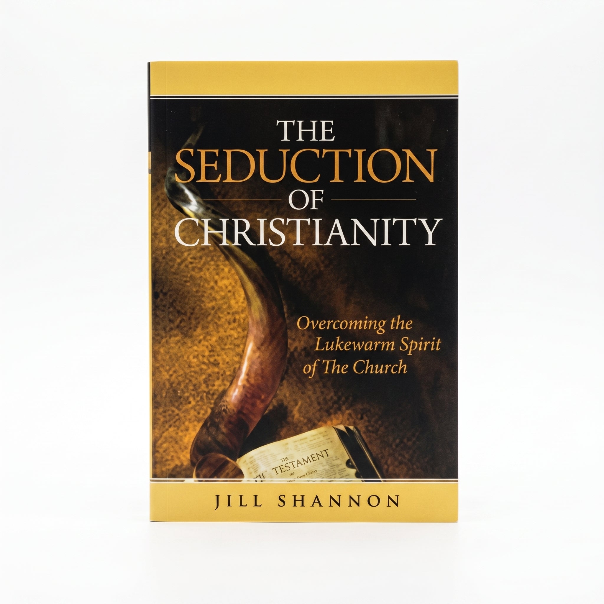 Studio photo of The Seduction of Christianity: Overcoming the Lukewarm Spirit of the Church in hero