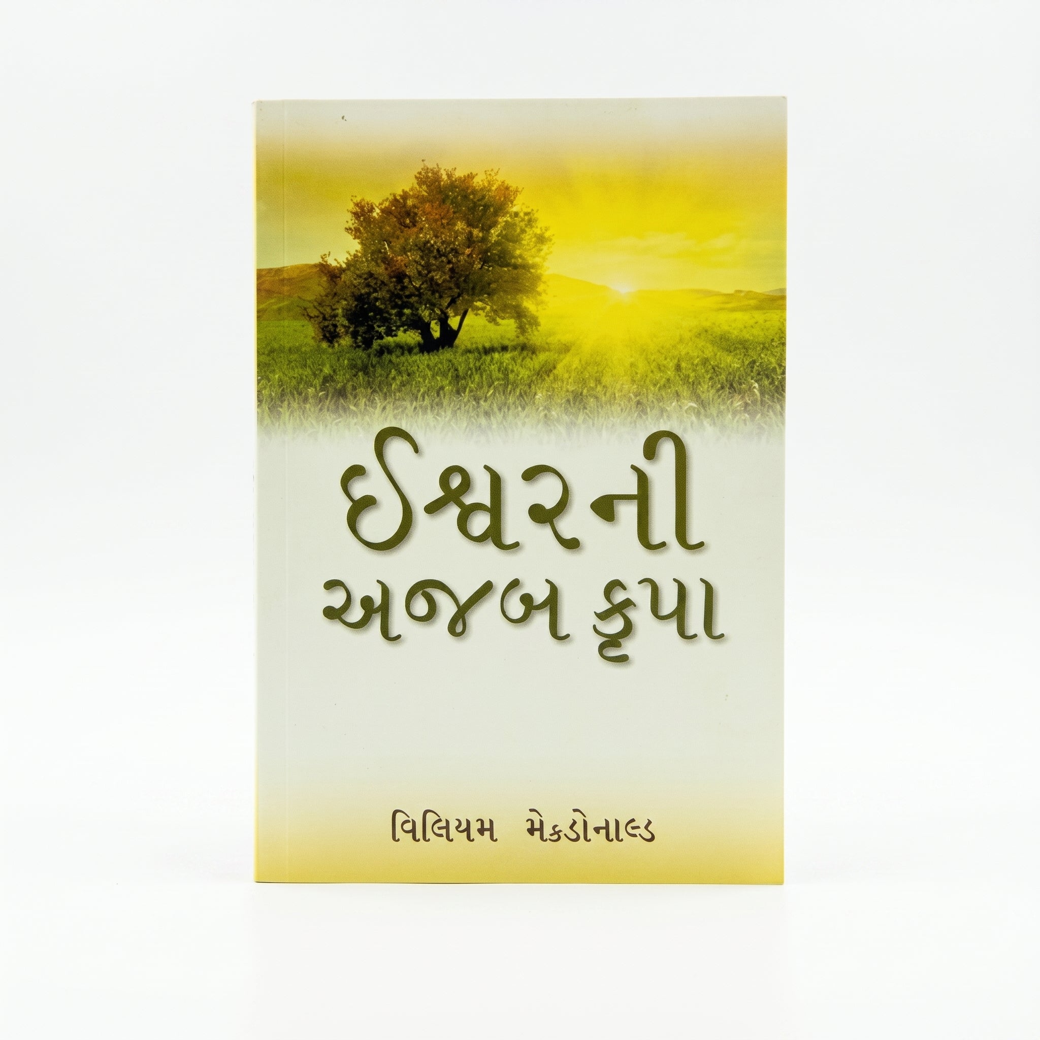 Studio photo of God's Amazing Grace (Gujarati) in hero