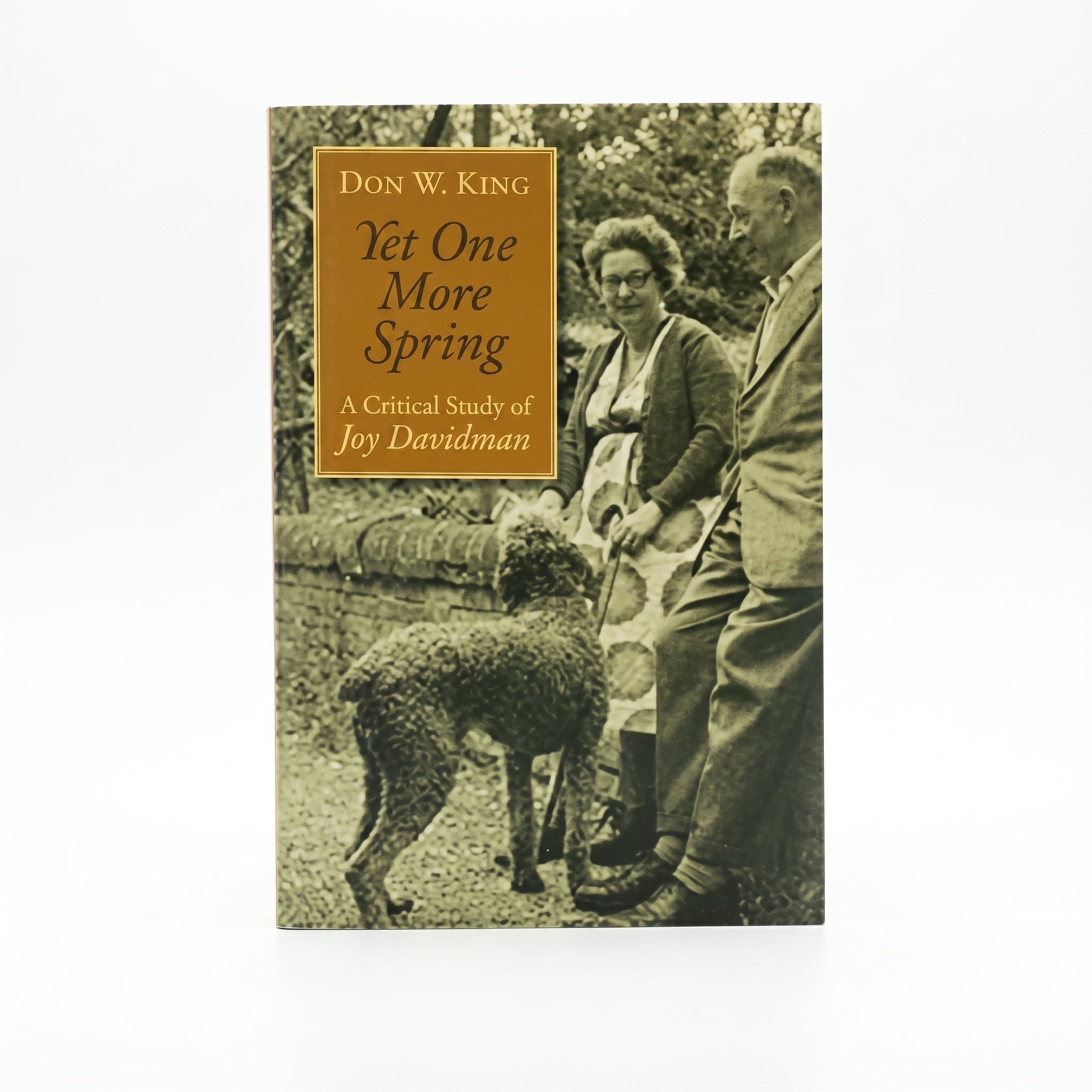 Studio photo of Yet One More Spring: A Critical Study of Joy Davidman in hero