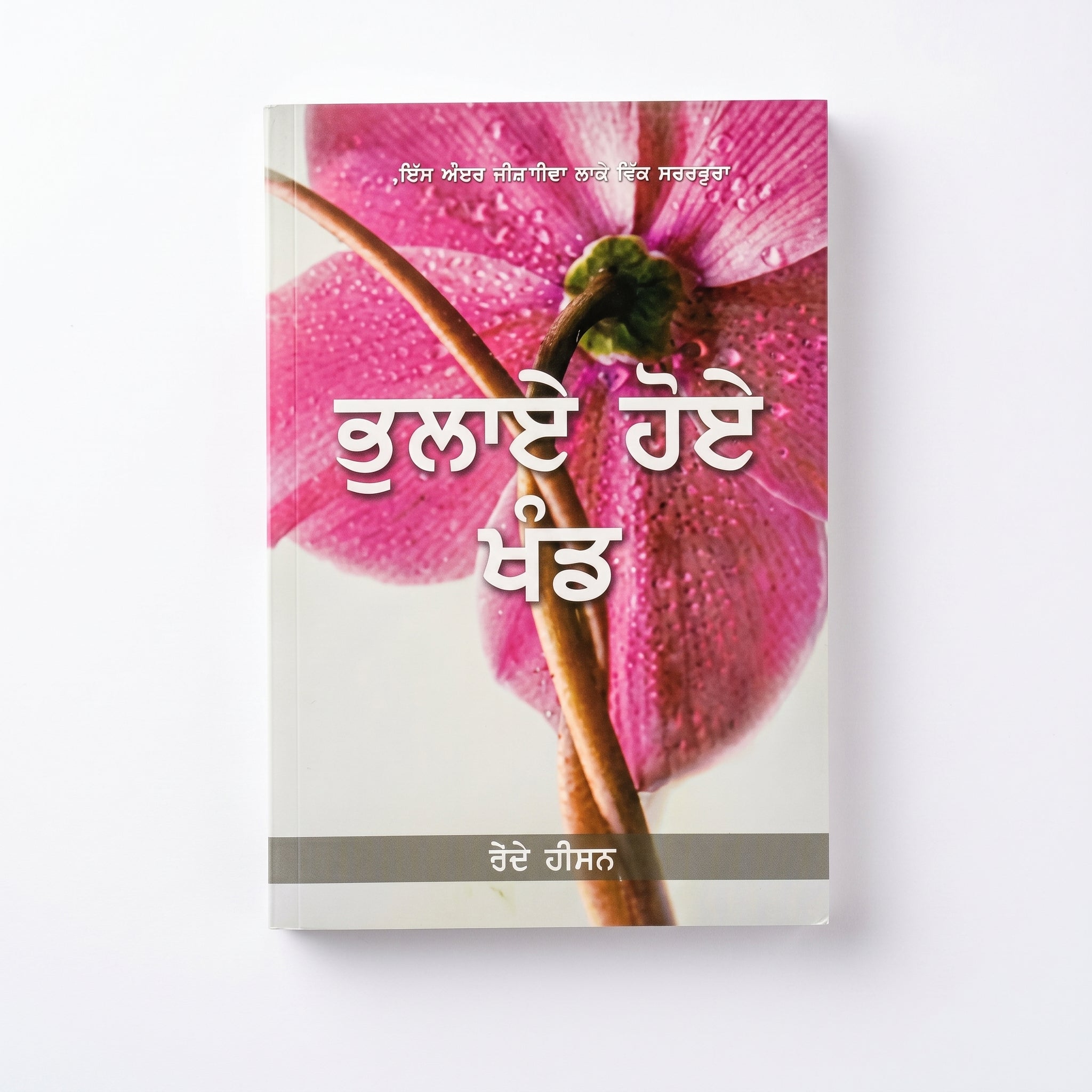 Studio photo of Forgotten Factors (Punjabi) in detail