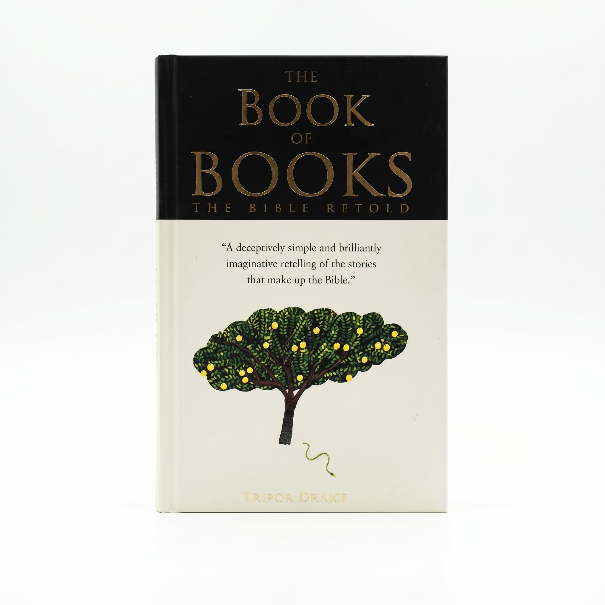 Studio photo of The Book of Books: The Bible Retold in hero