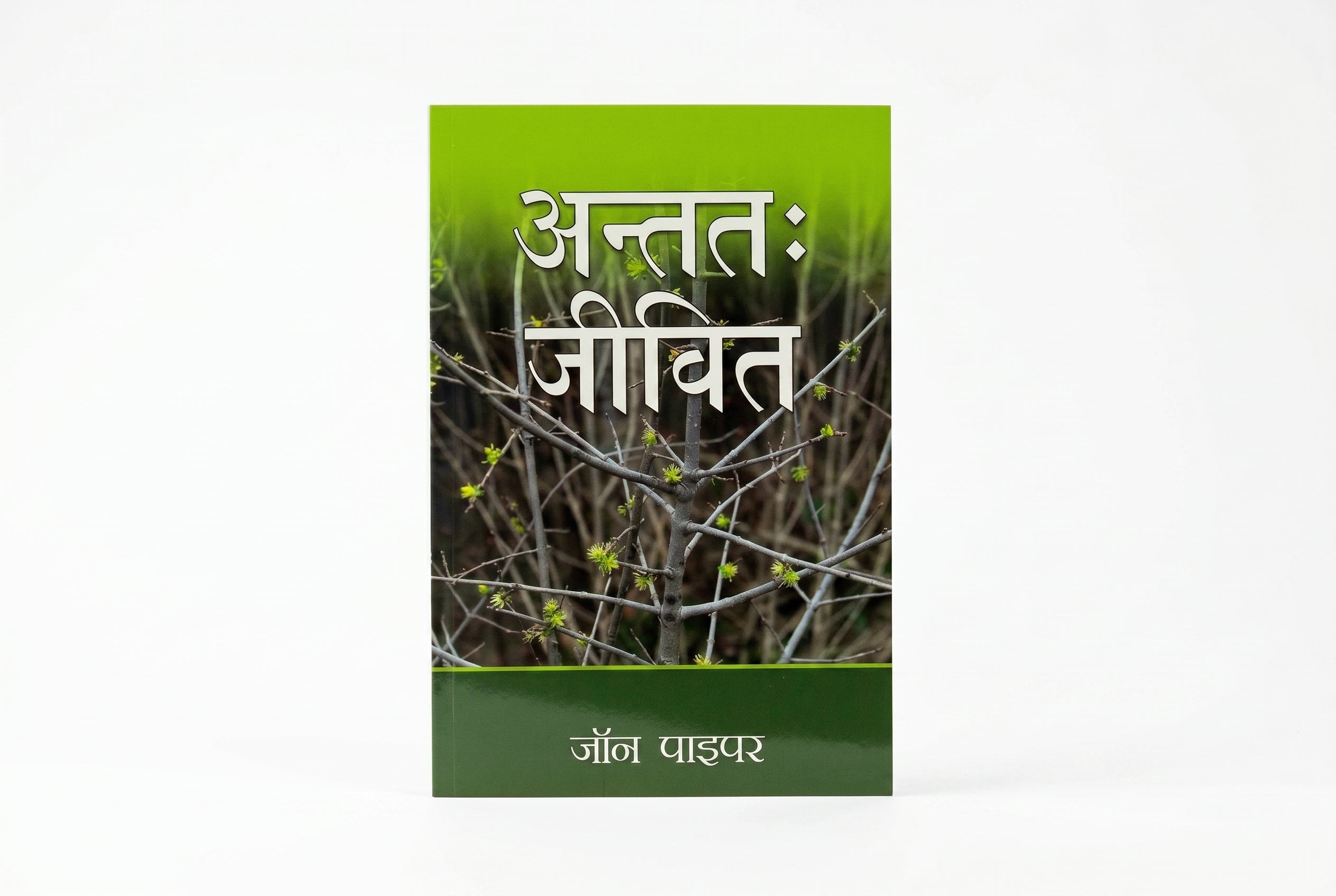 Studio photo of Finally alive (Hindi) in hero