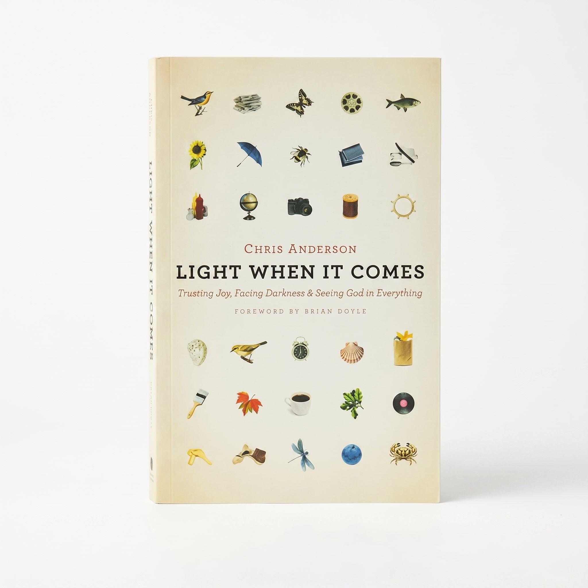 Studio photo of Light When It Comes: Trusting Joy, Facing Darkness, and Seeing God in Everything in hero
