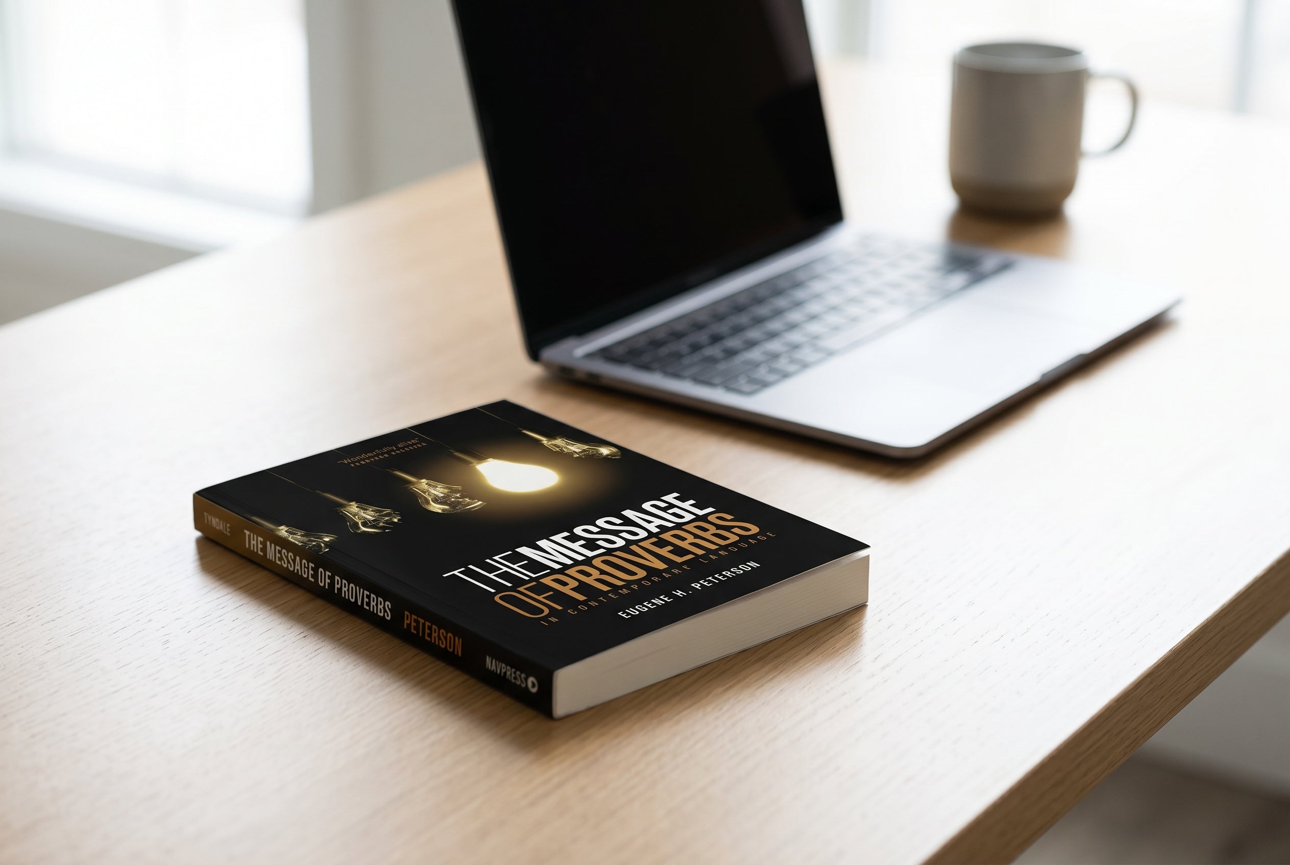 Studio photo of The Message of Proverbs in lifestyle