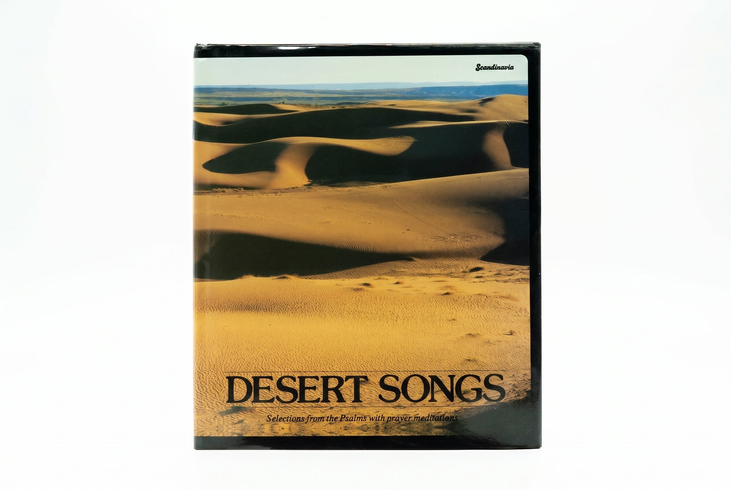 Studio photo of Desert Songs in hero