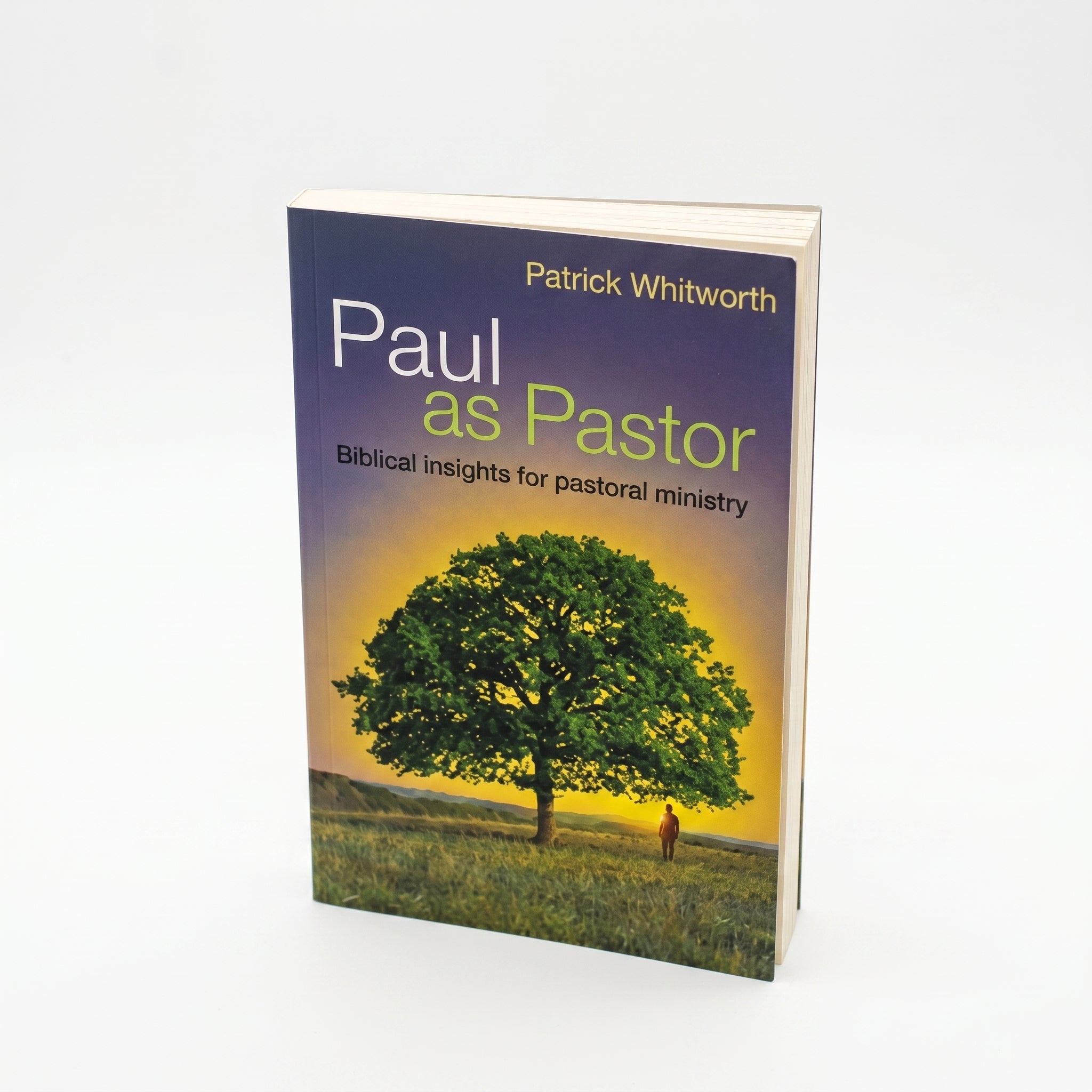 Studio photo of Paul as Pastor: Biblical Insights for Pastoral Ministry in hero