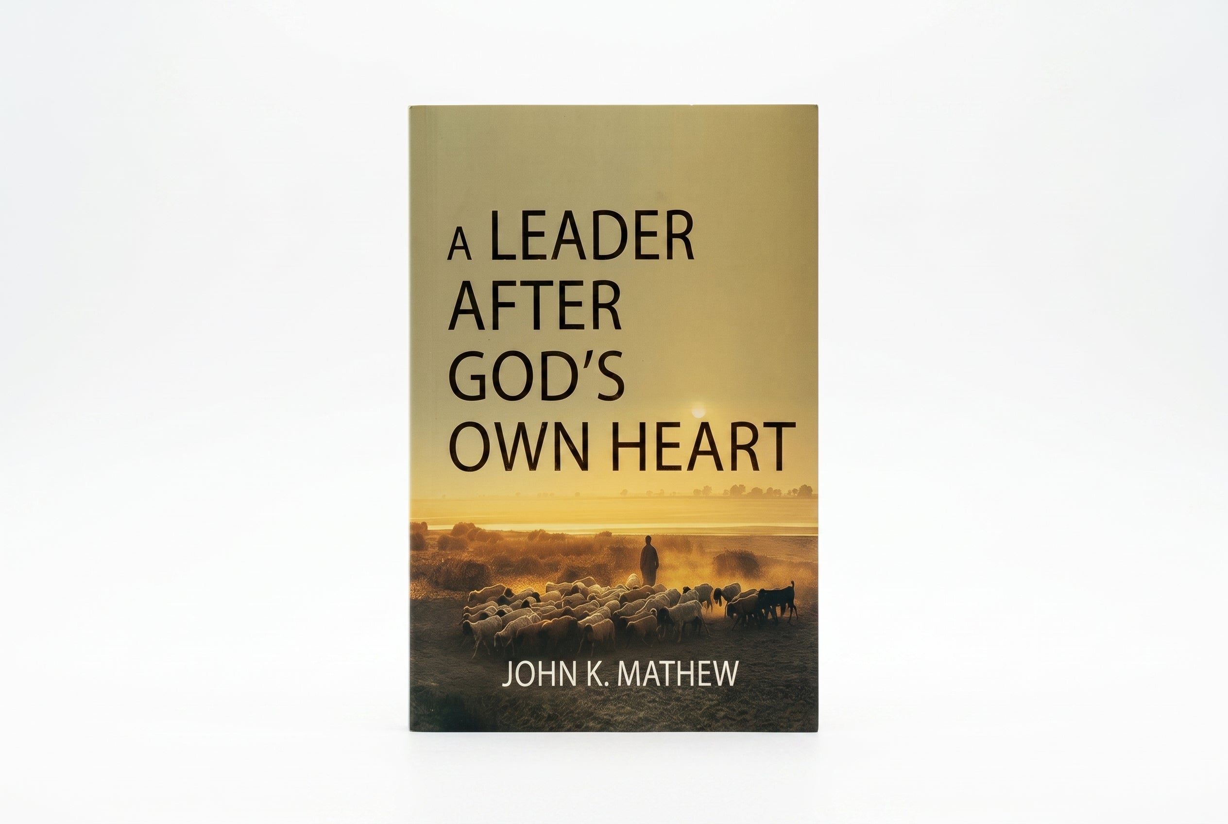 Studio photo of A Leader After God's Own Heart in hero