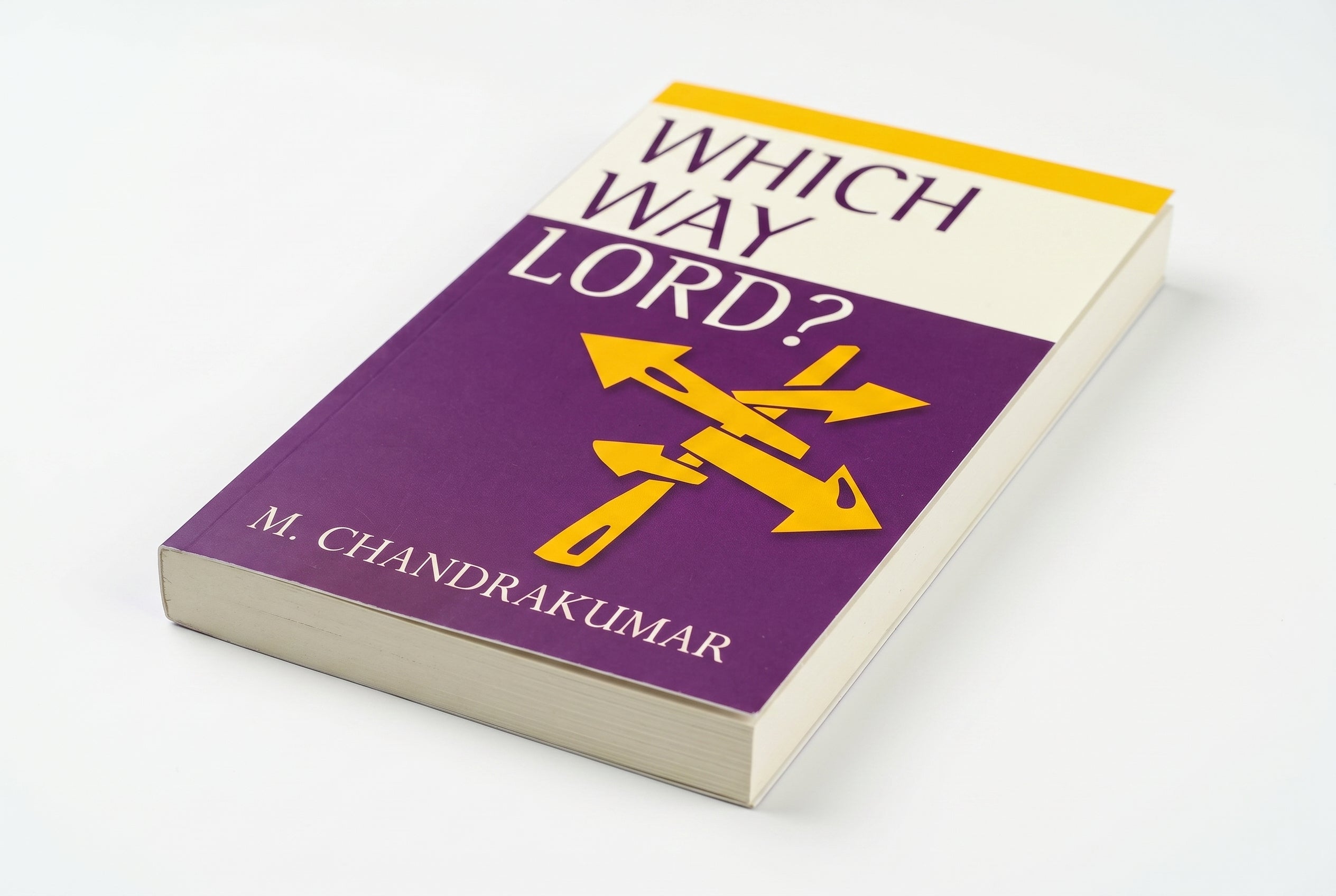 Studio photo of Which Way Lord? in detail