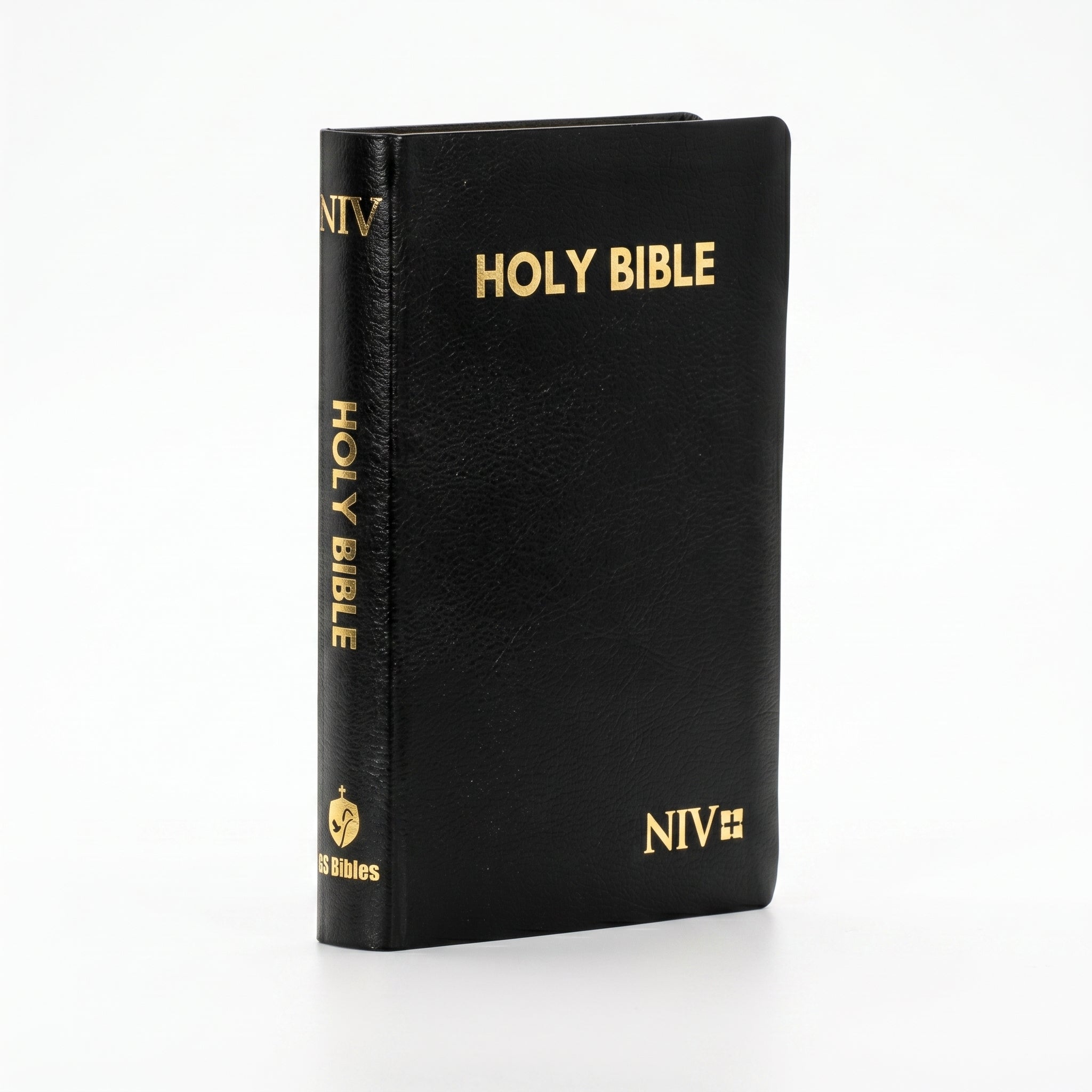 NIV Holy Bible Medium, Black | Christian + The Message: The Bible in Contemporary L Combo