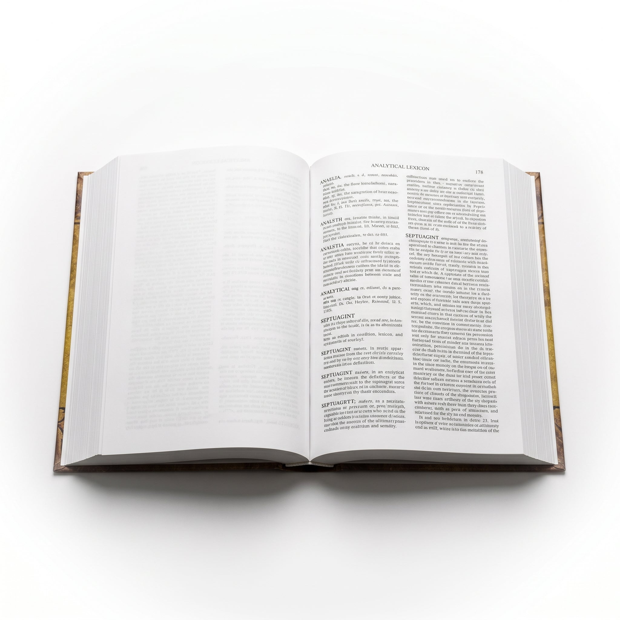Studio photo of Analytical Lexicon to the Septuagint: Expanded Edition in detail