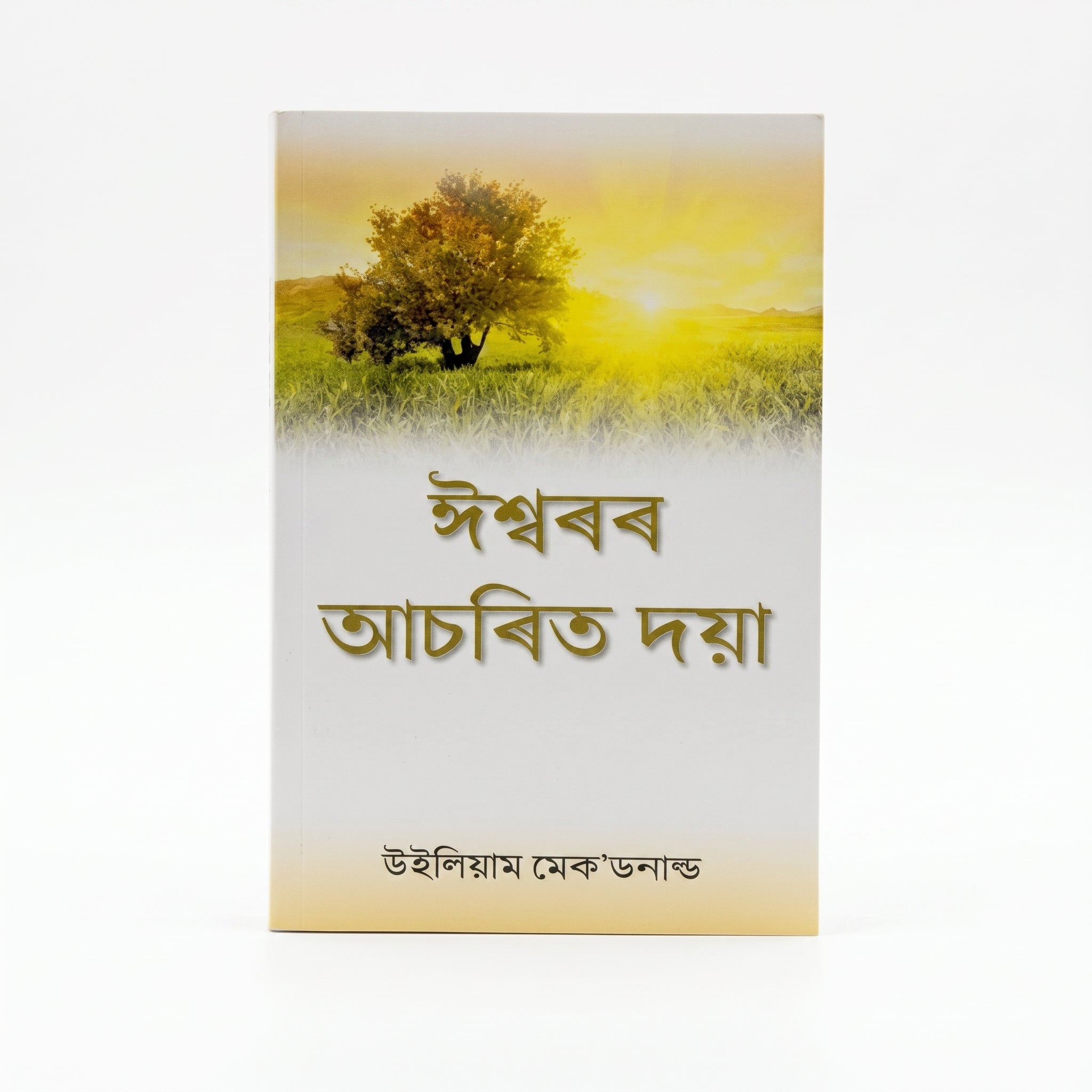 Studio photo of God's Amazing Grace (Assamese) in hero