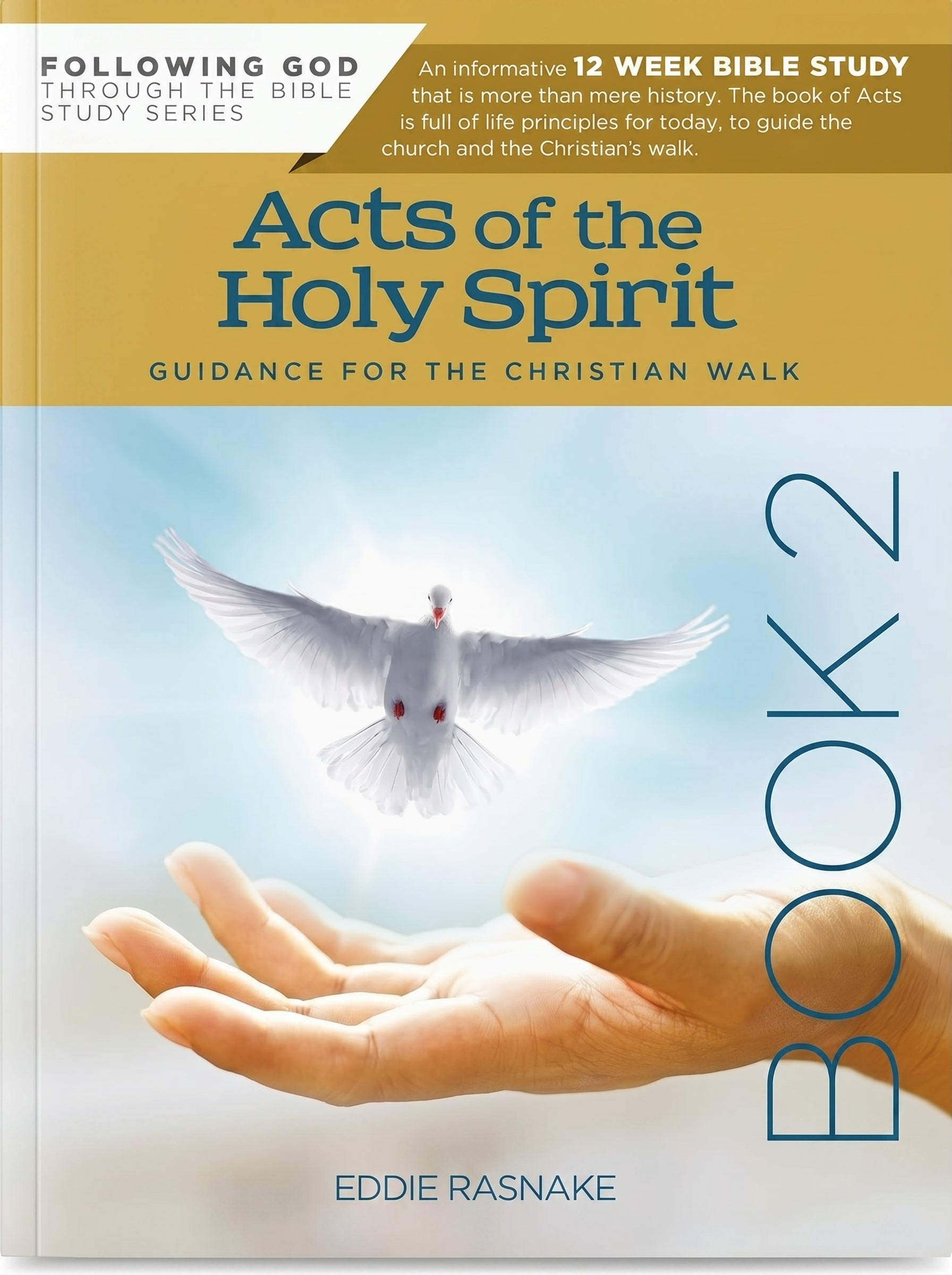 Studio photo of Acts of the Holy Spirit Book 2: Guidance for the Christian Walk in hero