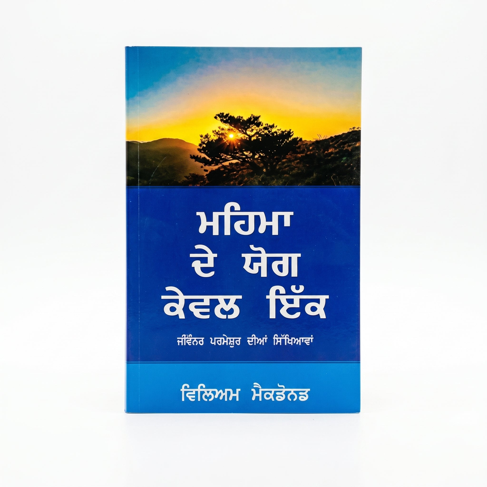 Studio photo of Alone in Majesty (Punjabi) in hero