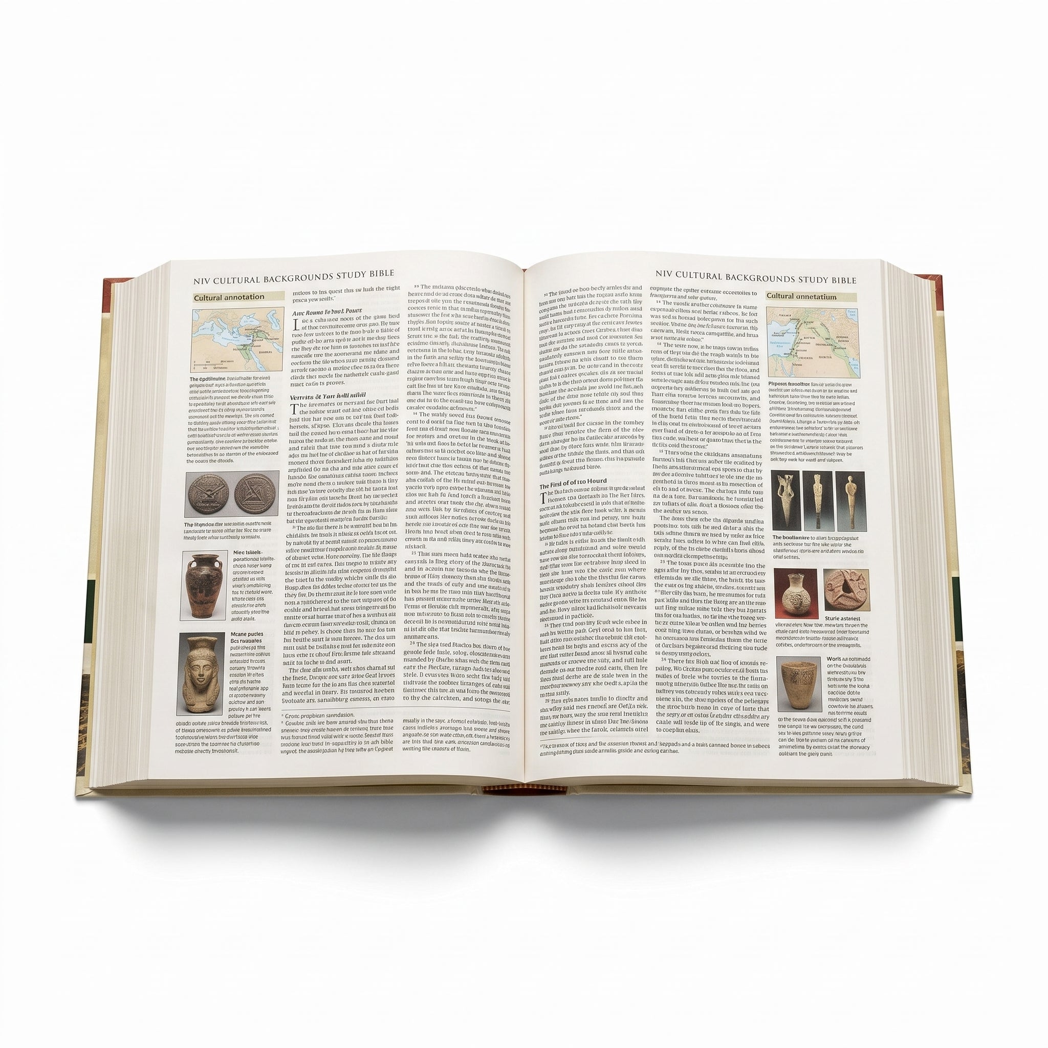 Studio photo of NIV Cultural Backgrounds Study Bible: Bringing to Life the Ancient World of Scripture in detail