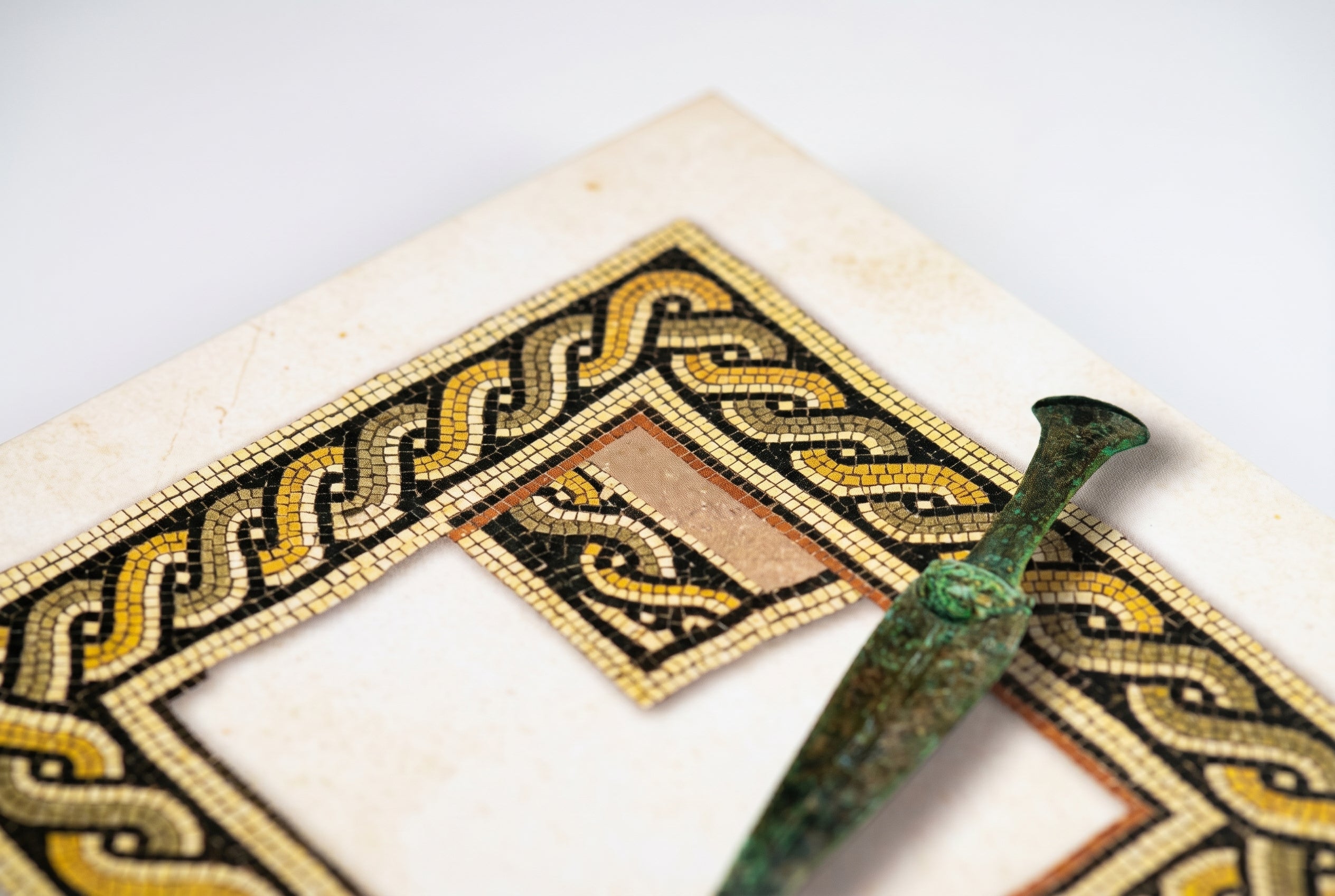 Studio photo of Josephus Carta's Illustrated the Jewish War in detail