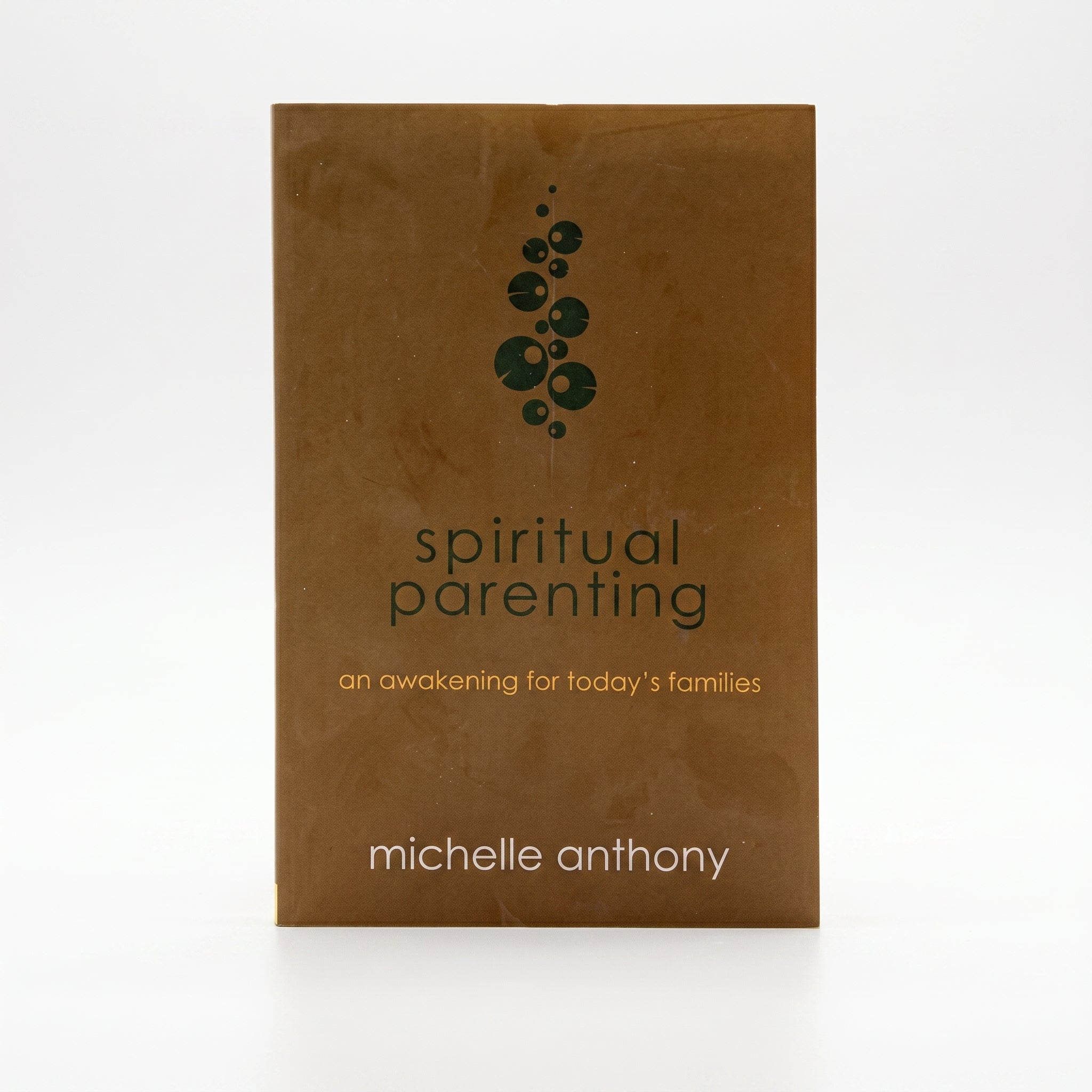 Studio photo of Spiritual Parenting: An Awakening for Today's Families in hero