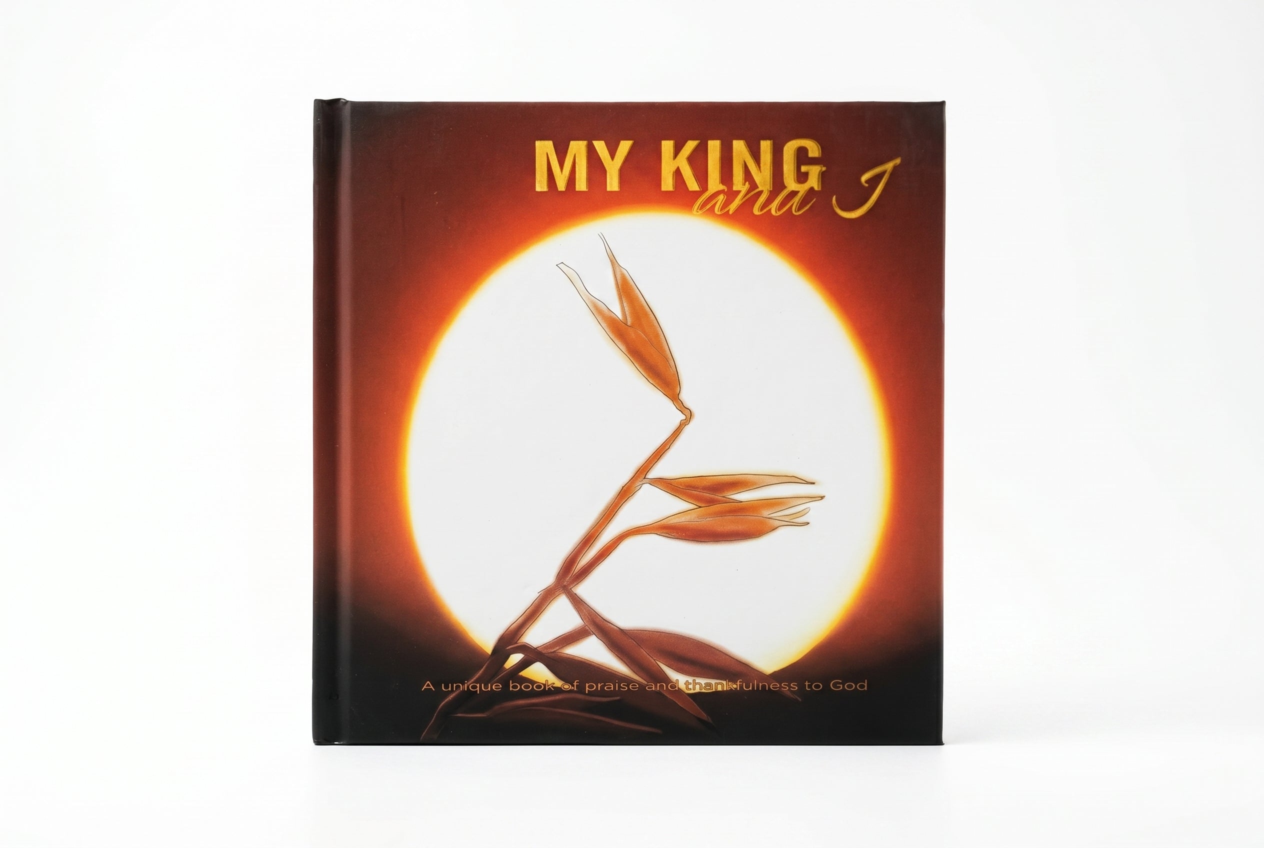 Studio photo of My King and I in hero