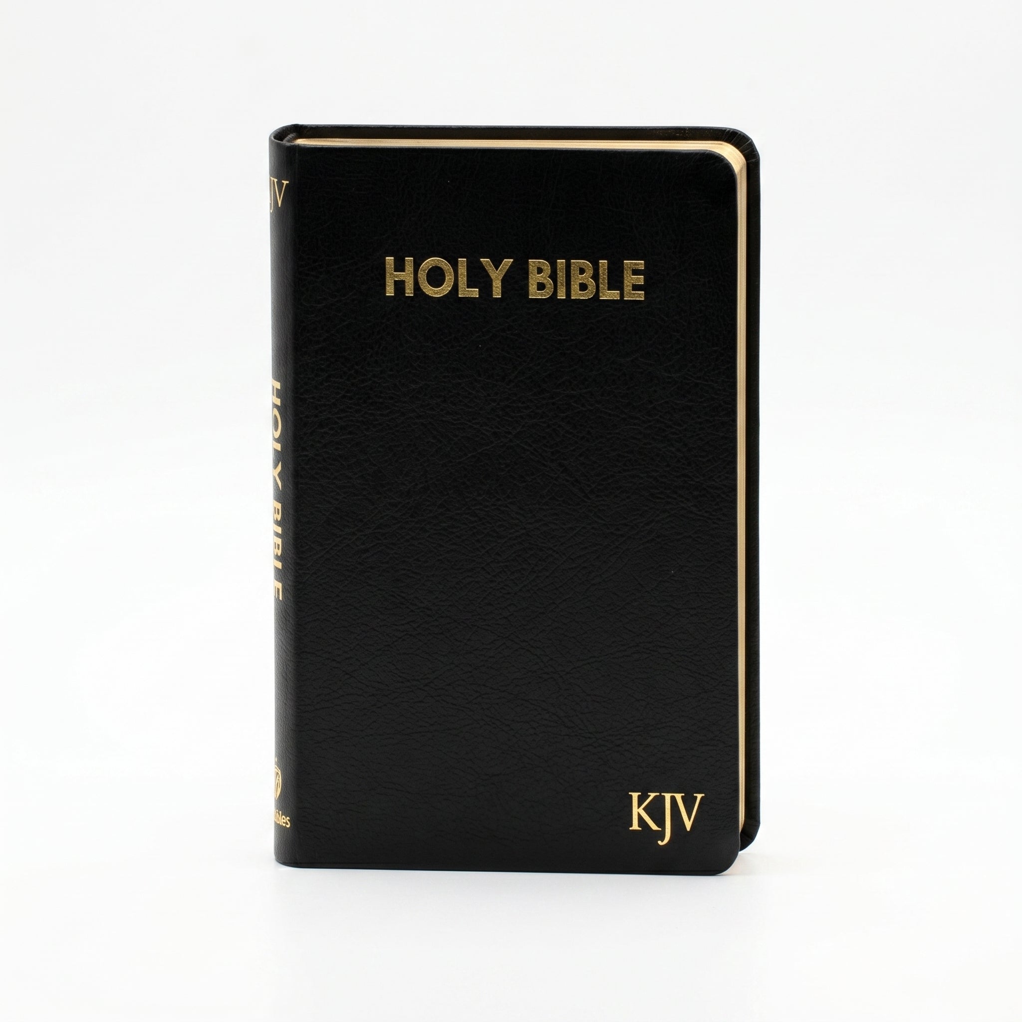 KJV Holy Bible - Medium Black Pebbled Sy + KJV Reference Bible, Personal Size, Larg Combo