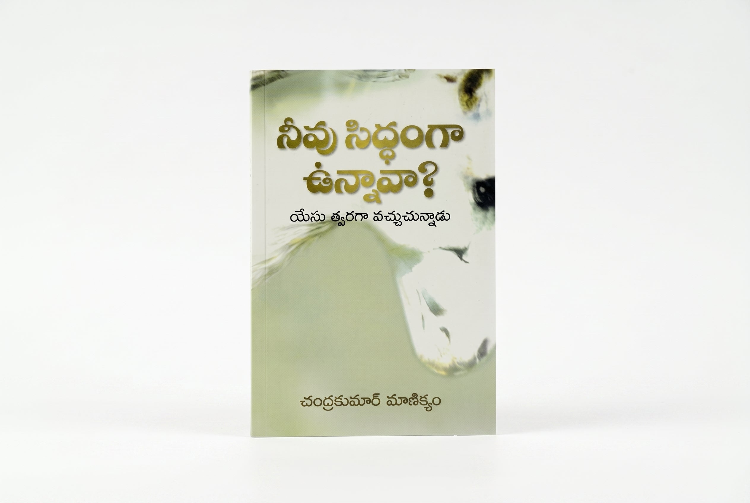 Studio photo of Are You Ready? (Telugu) in hero