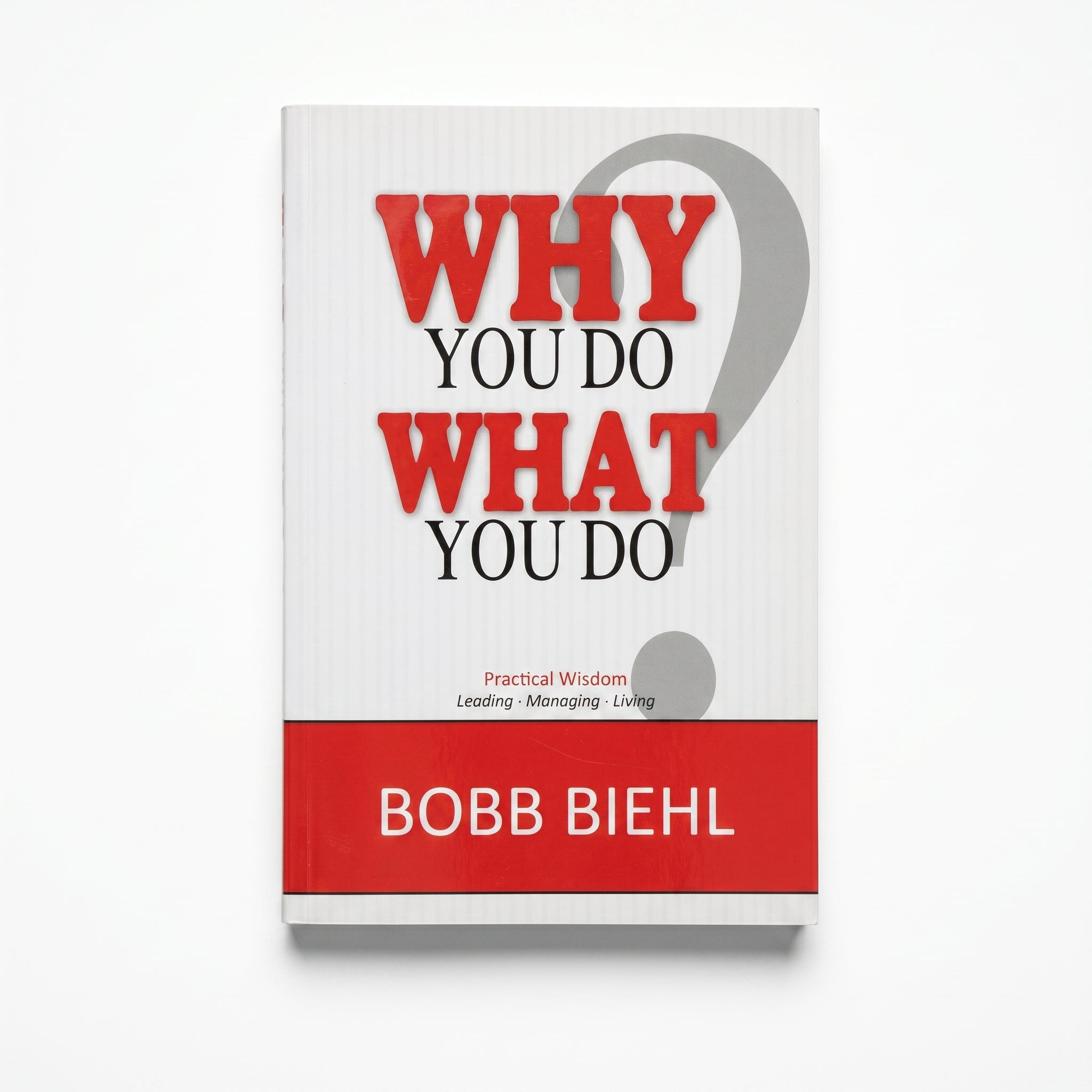 Studio photo of Why you Do What You Do? in hero