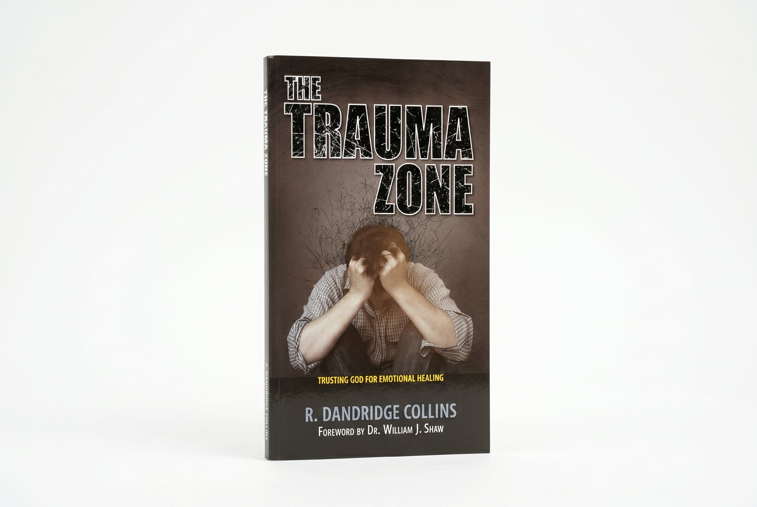 Studio photo of The Trauma Zone: Trusting God for Emotional Healing in hero