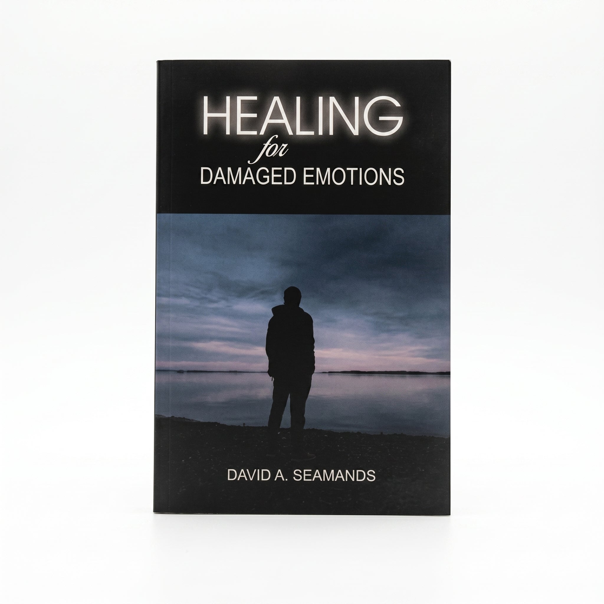 Studio photo of Healing for Damaged Emotions in hero